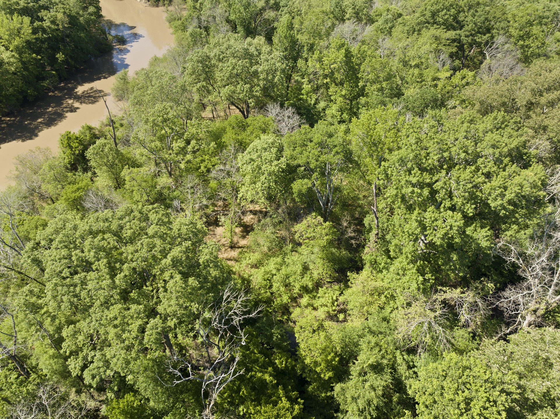 307 Fish TRAP Ln