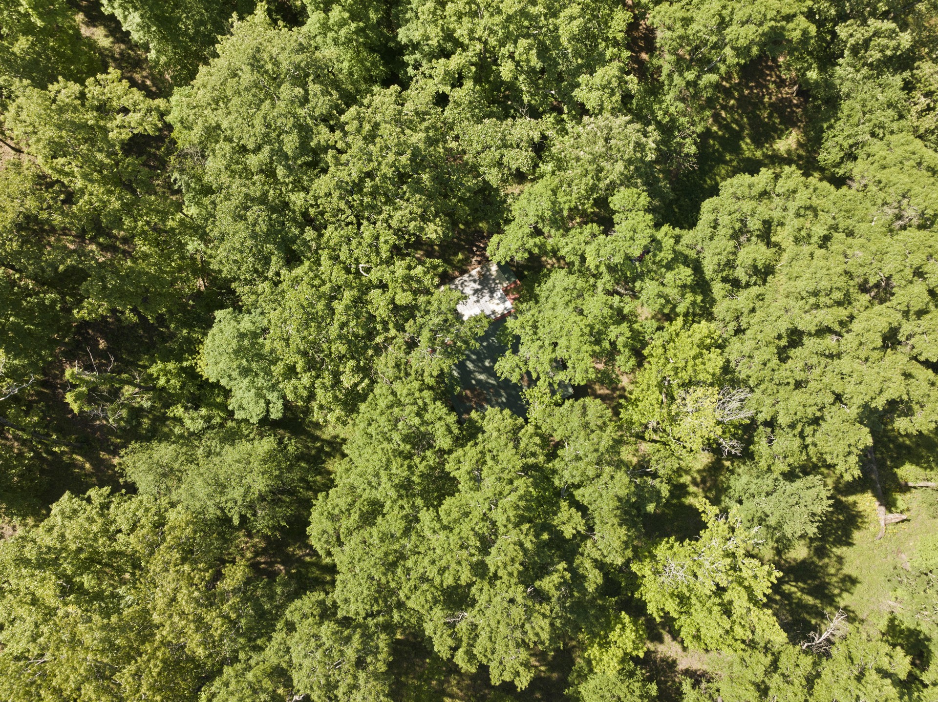 307 Fish TRAP Ln