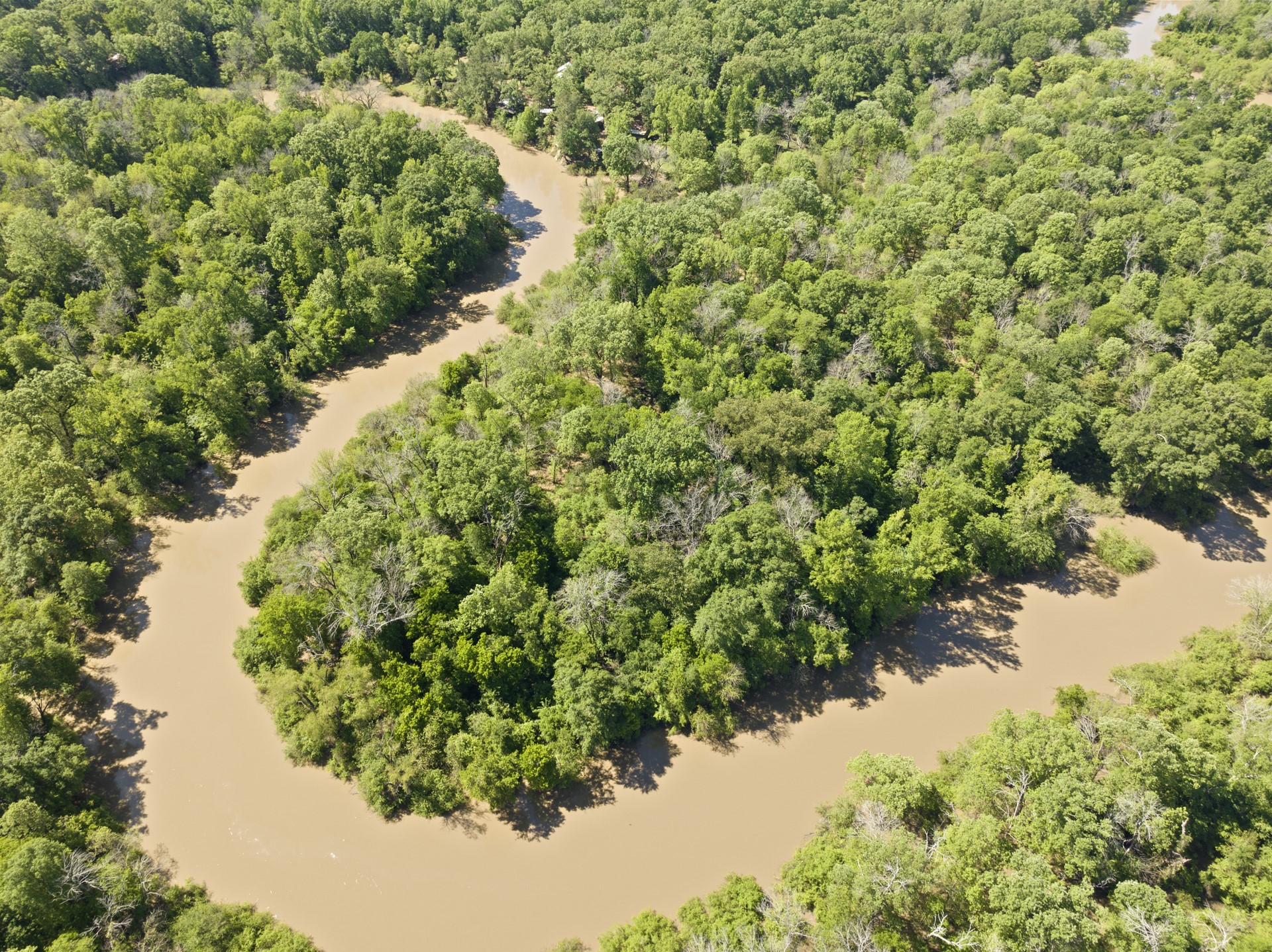 307 Fish TRAP Ln