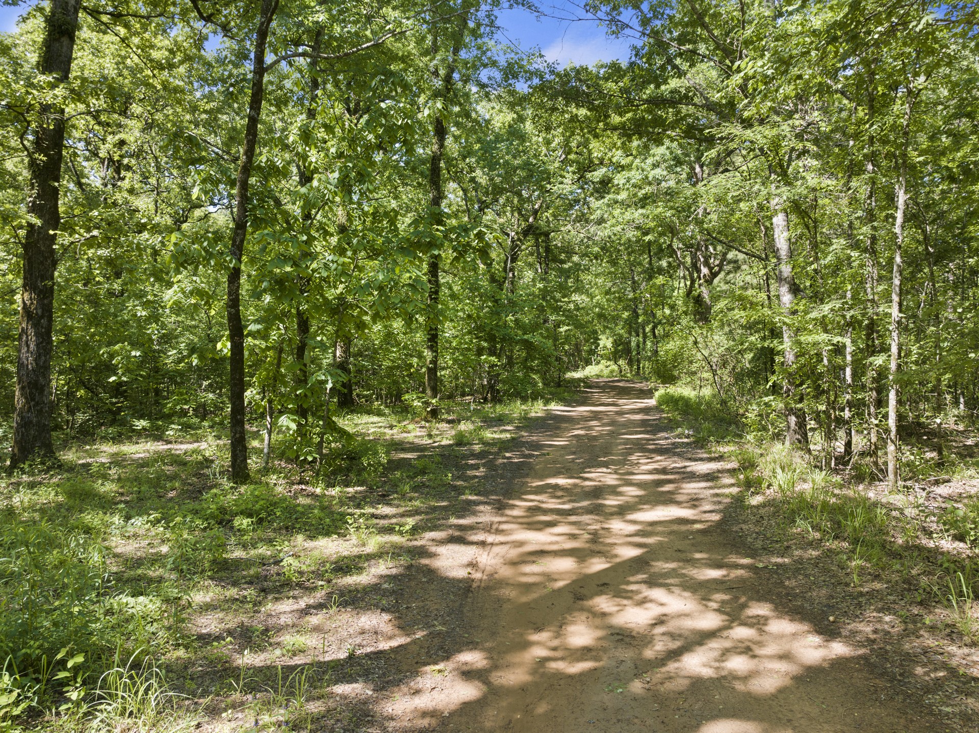 307 Fish TRAP Ln
