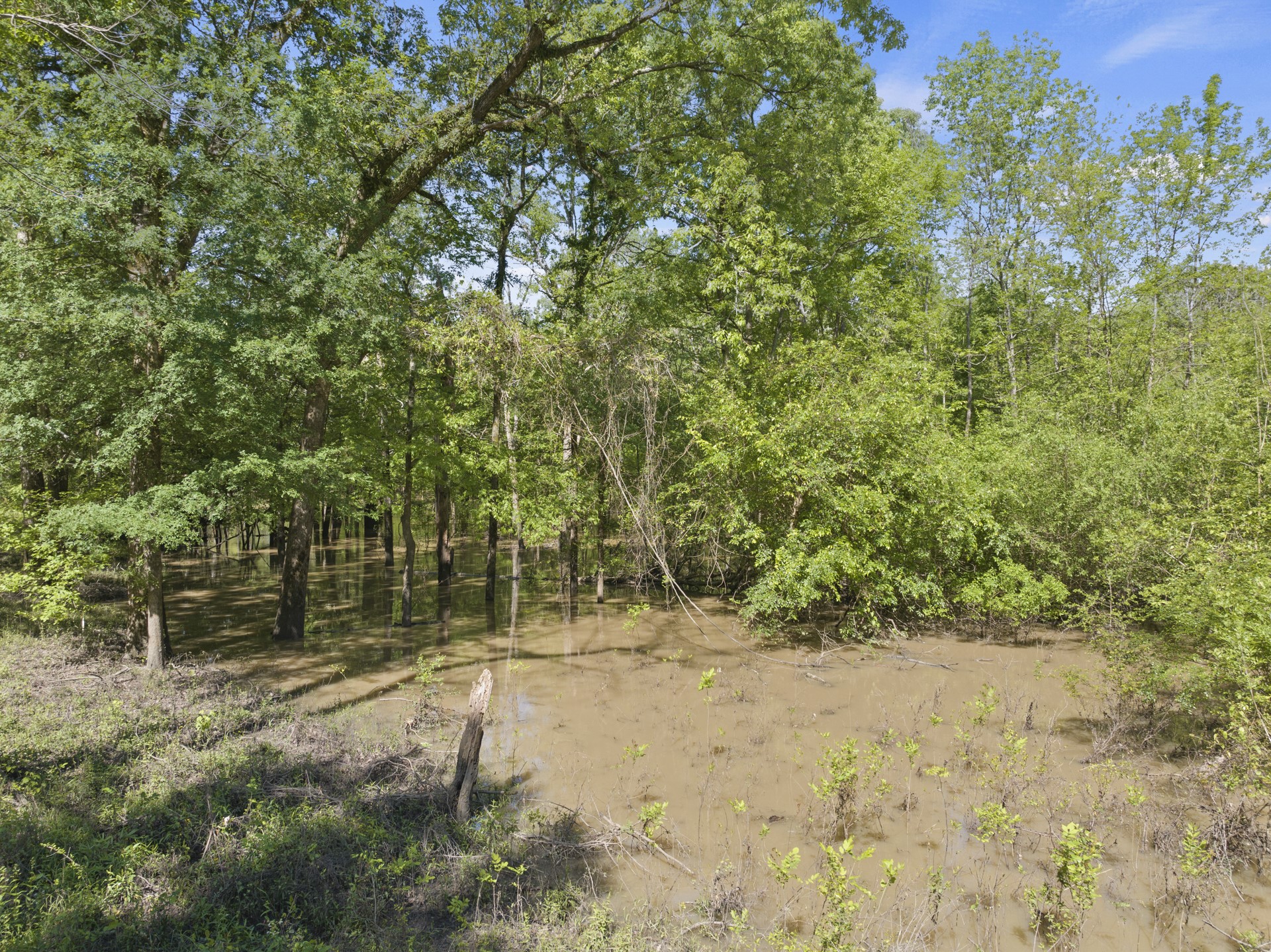 307 Fish TRAP Ln