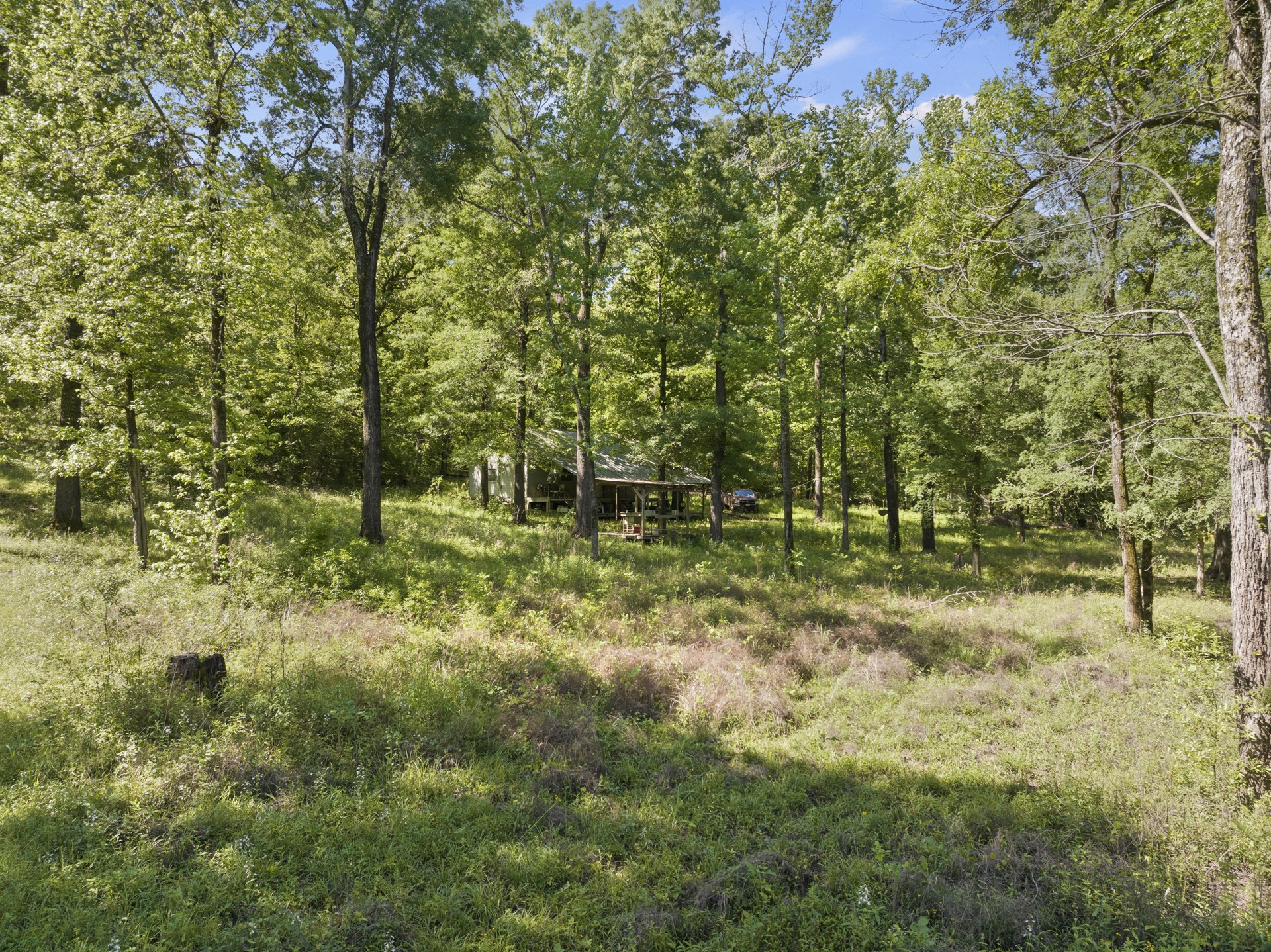307 Fish TRAP Ln