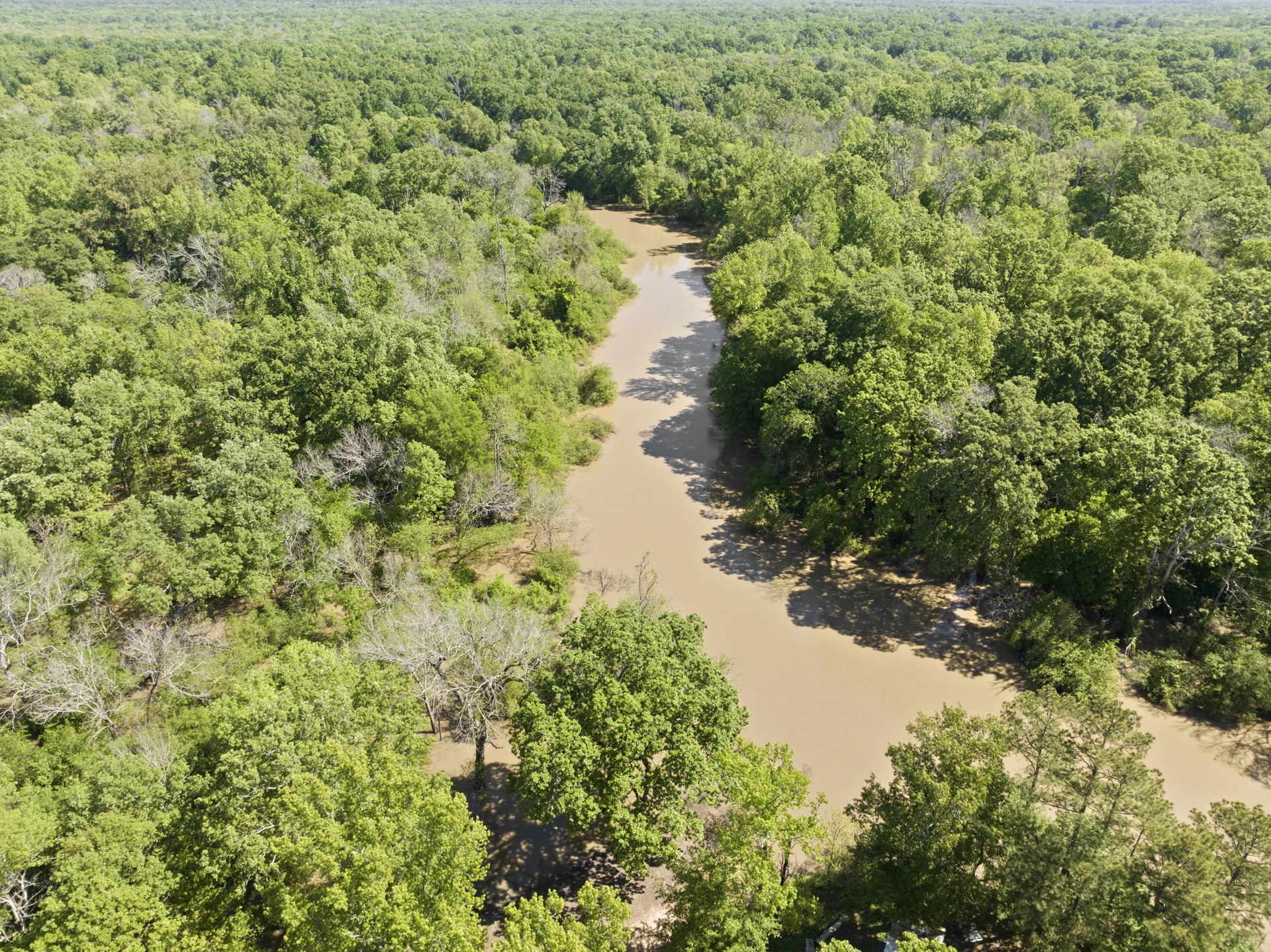 307 Fish TRAP Ln