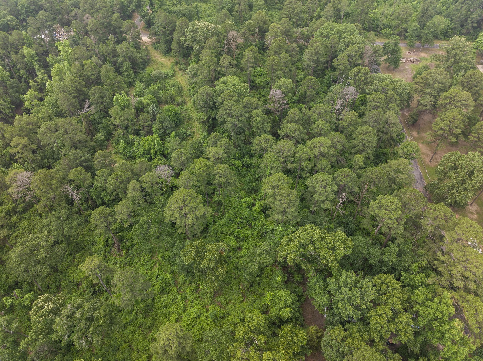 LOT R4 Big Pine Estates