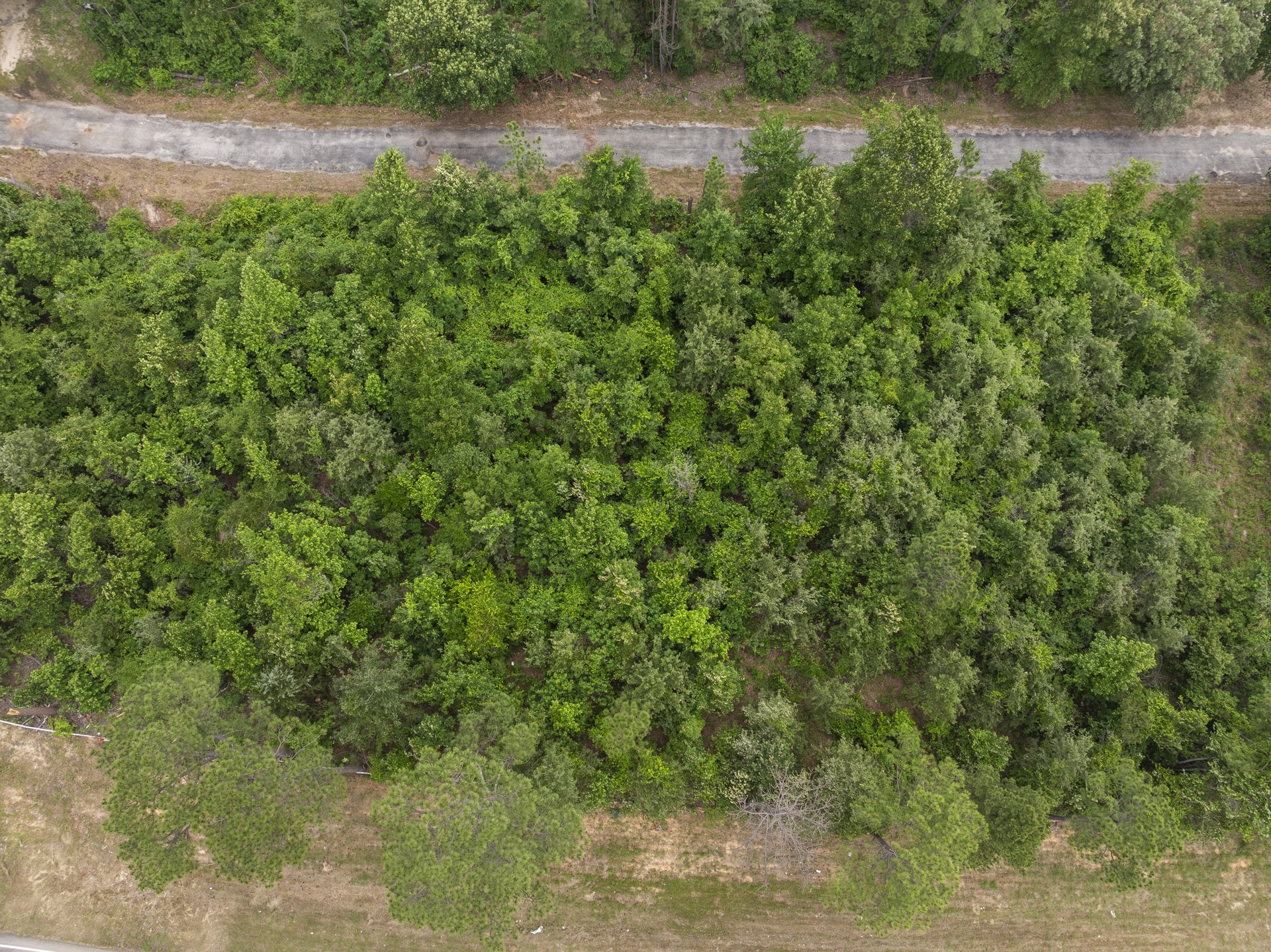 LOT R4 Big Pine Estates
