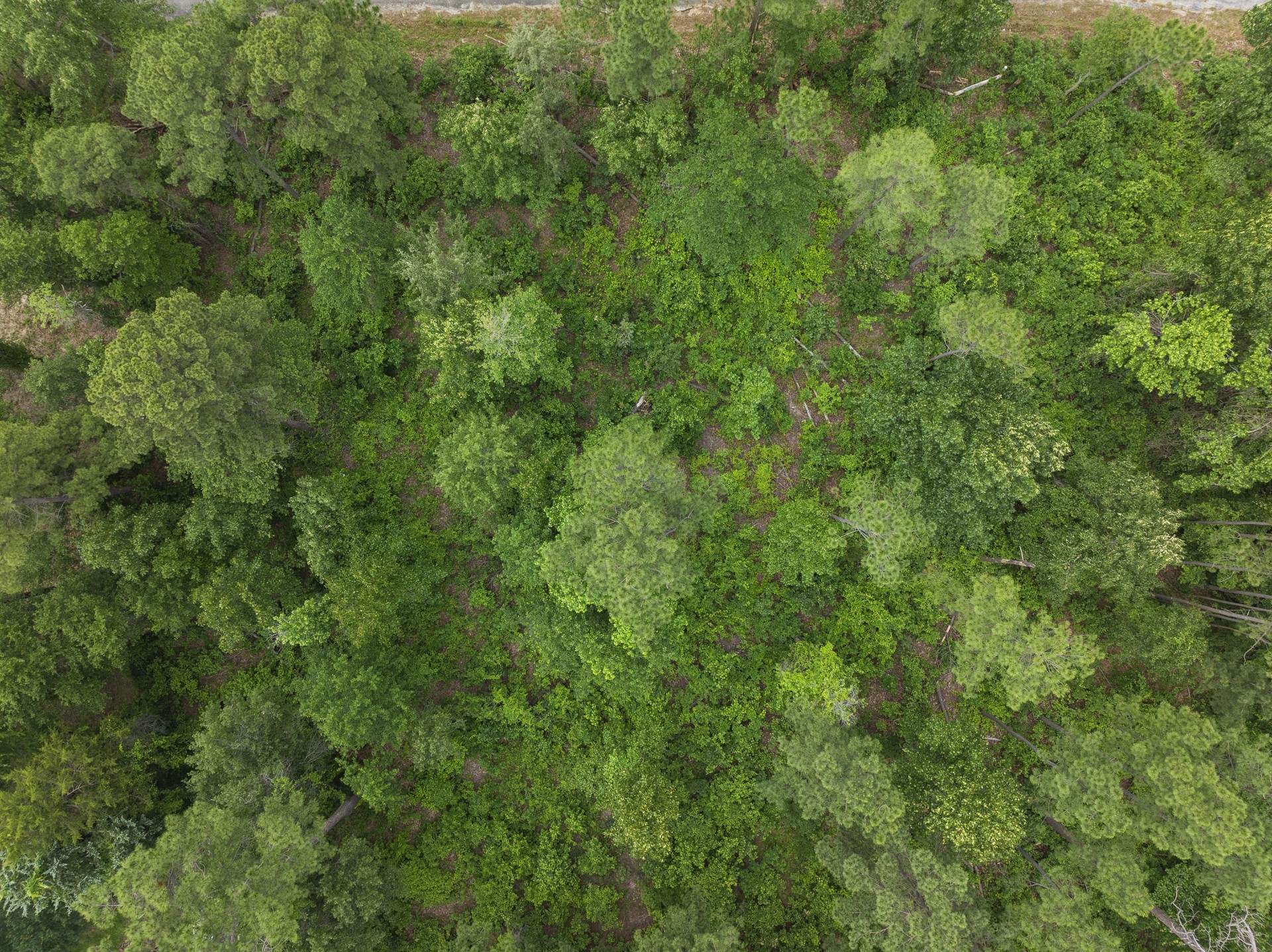 LOT R4 Big Pine Estates