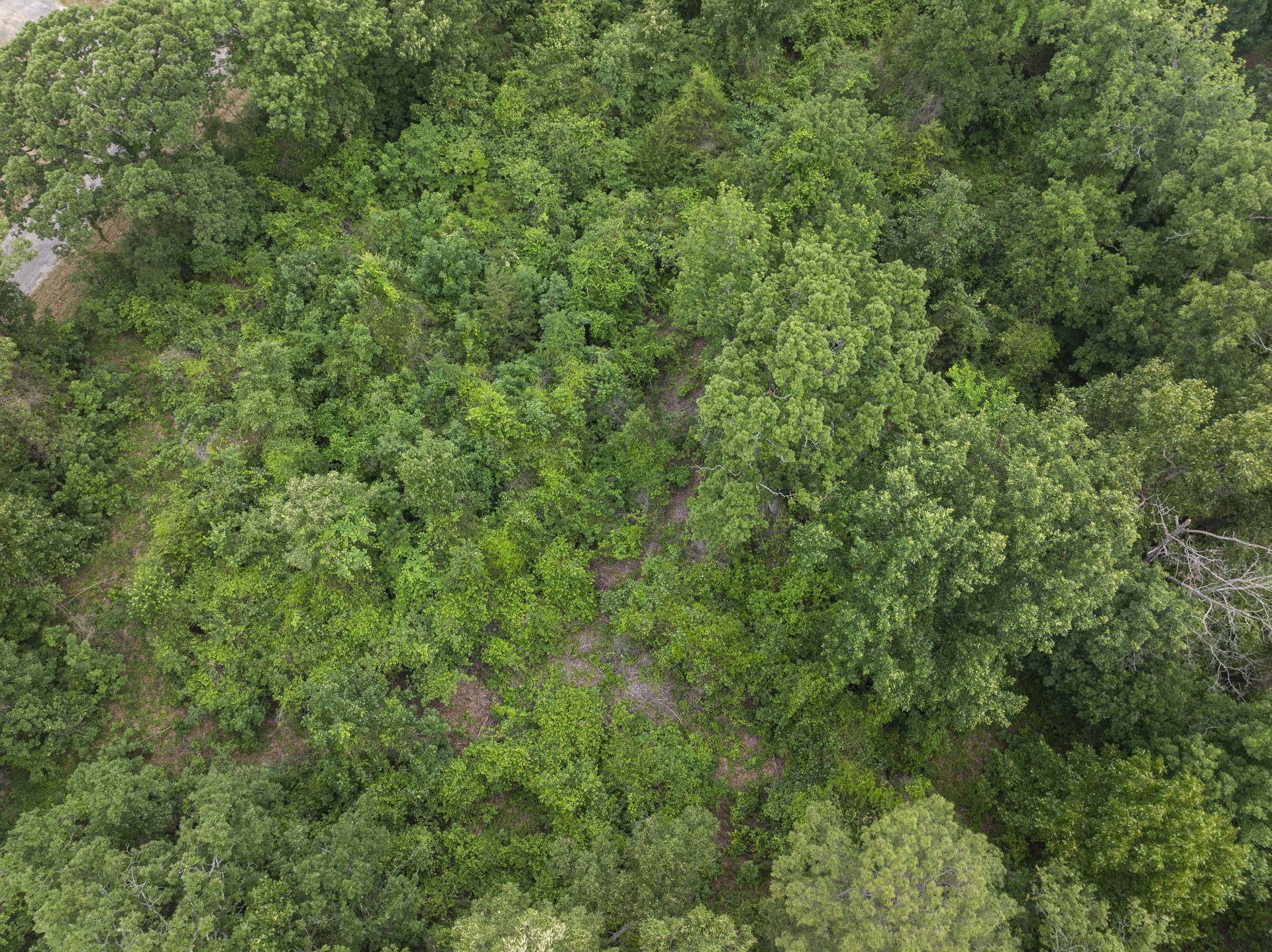 LOT R4 Big Pine Estates