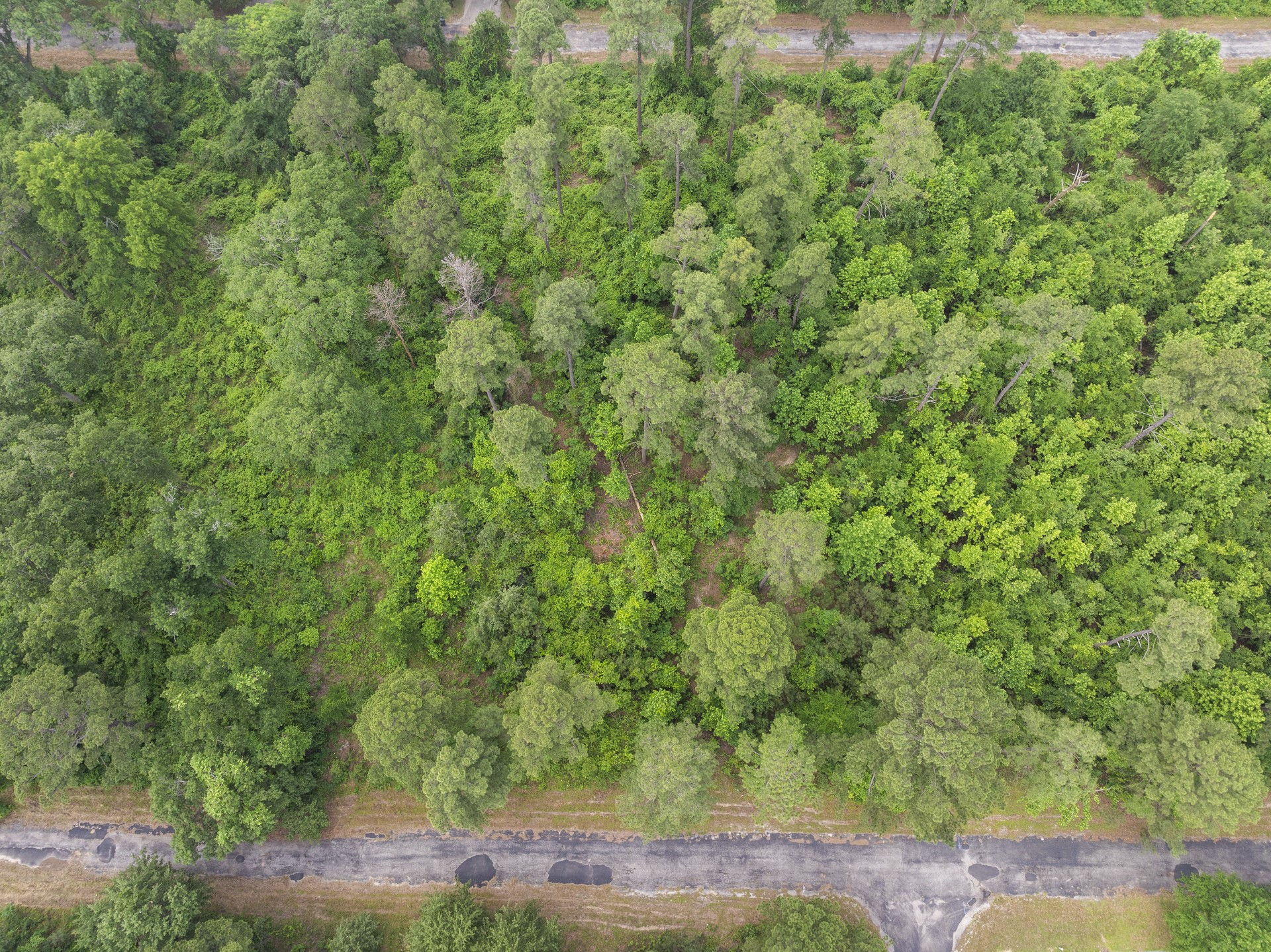 LOT R4 Big Pine Estates
