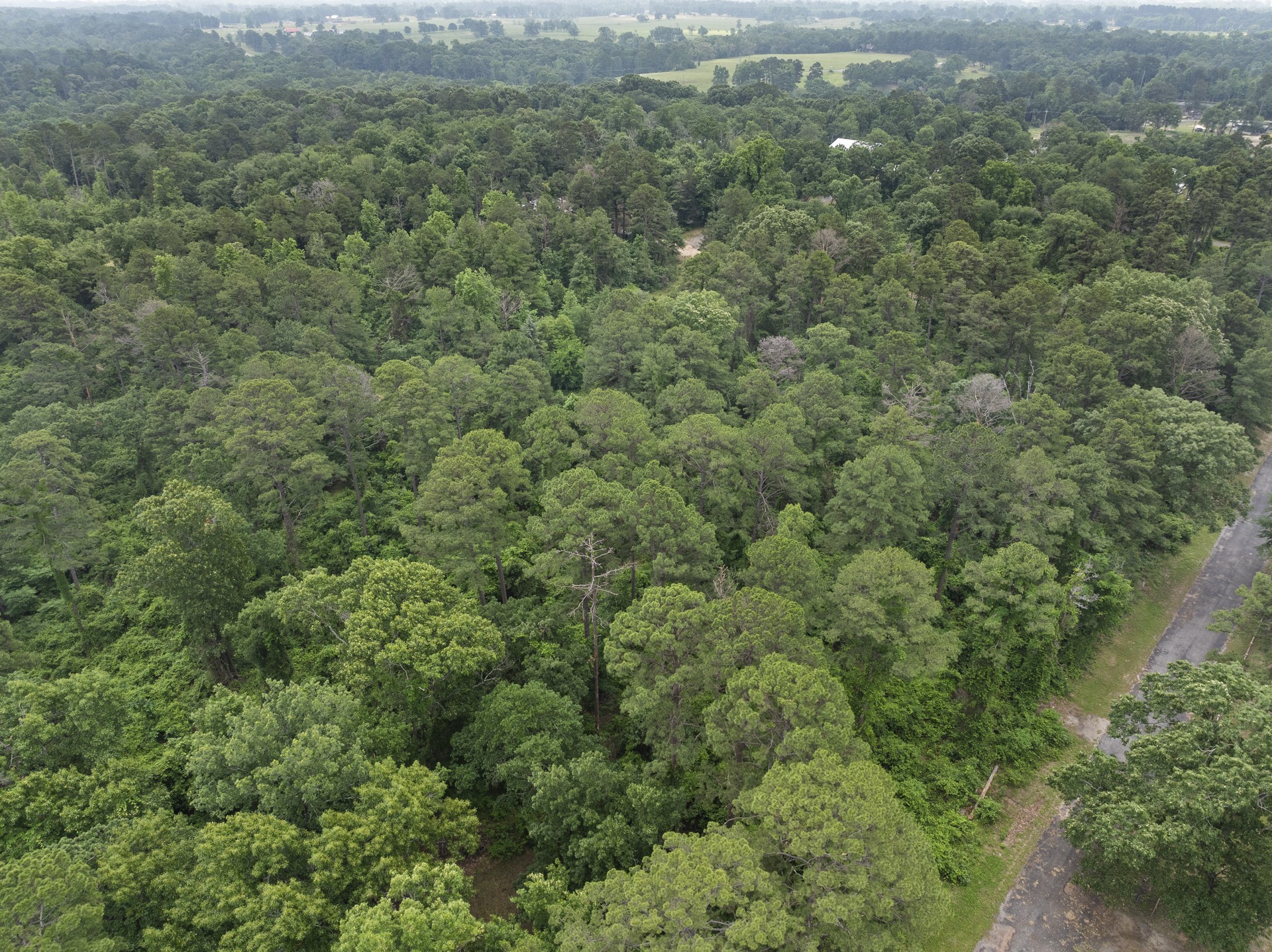 LOT R4 Big Pine Estates