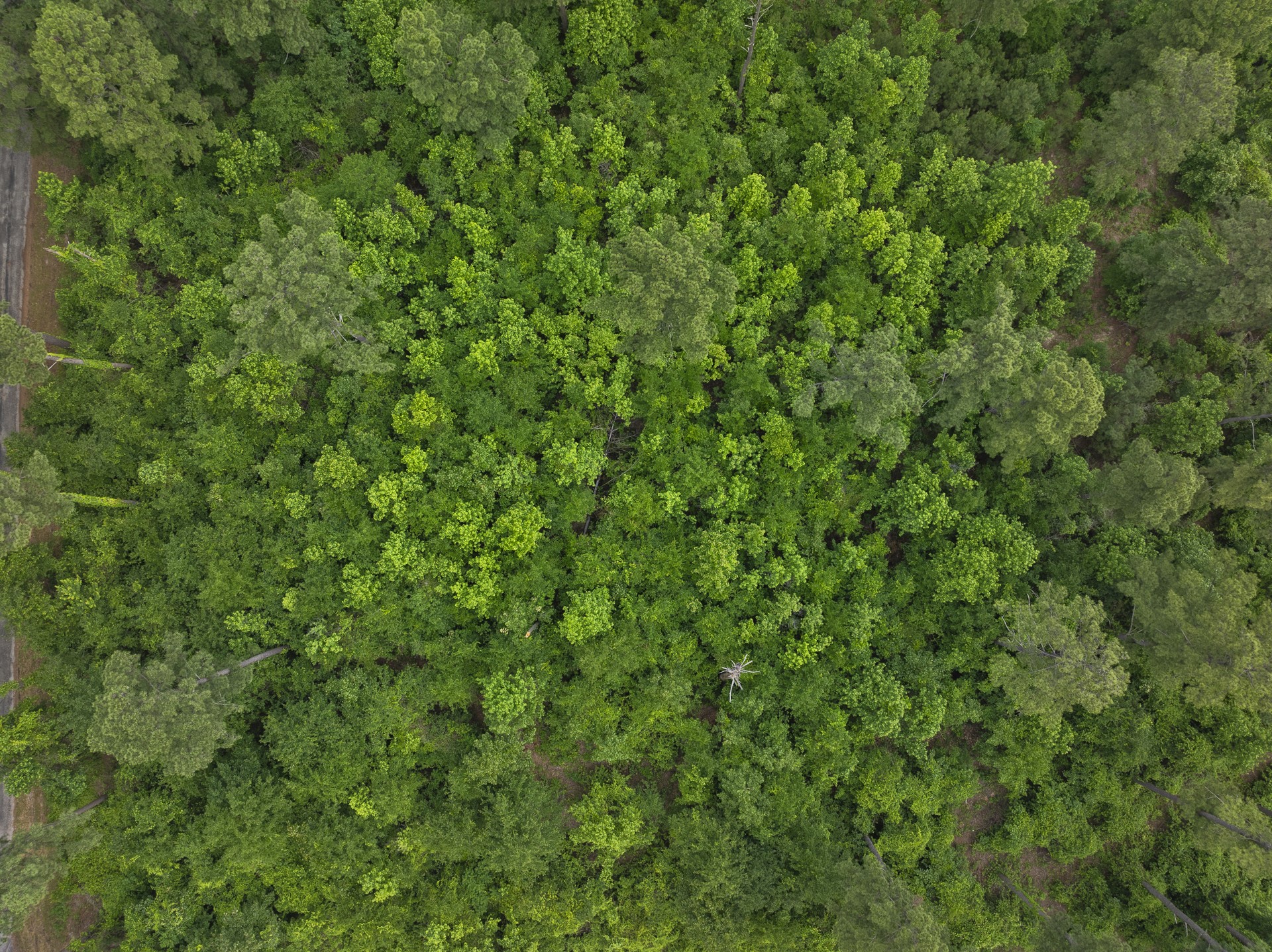 LOT R4 Big Pine Estates