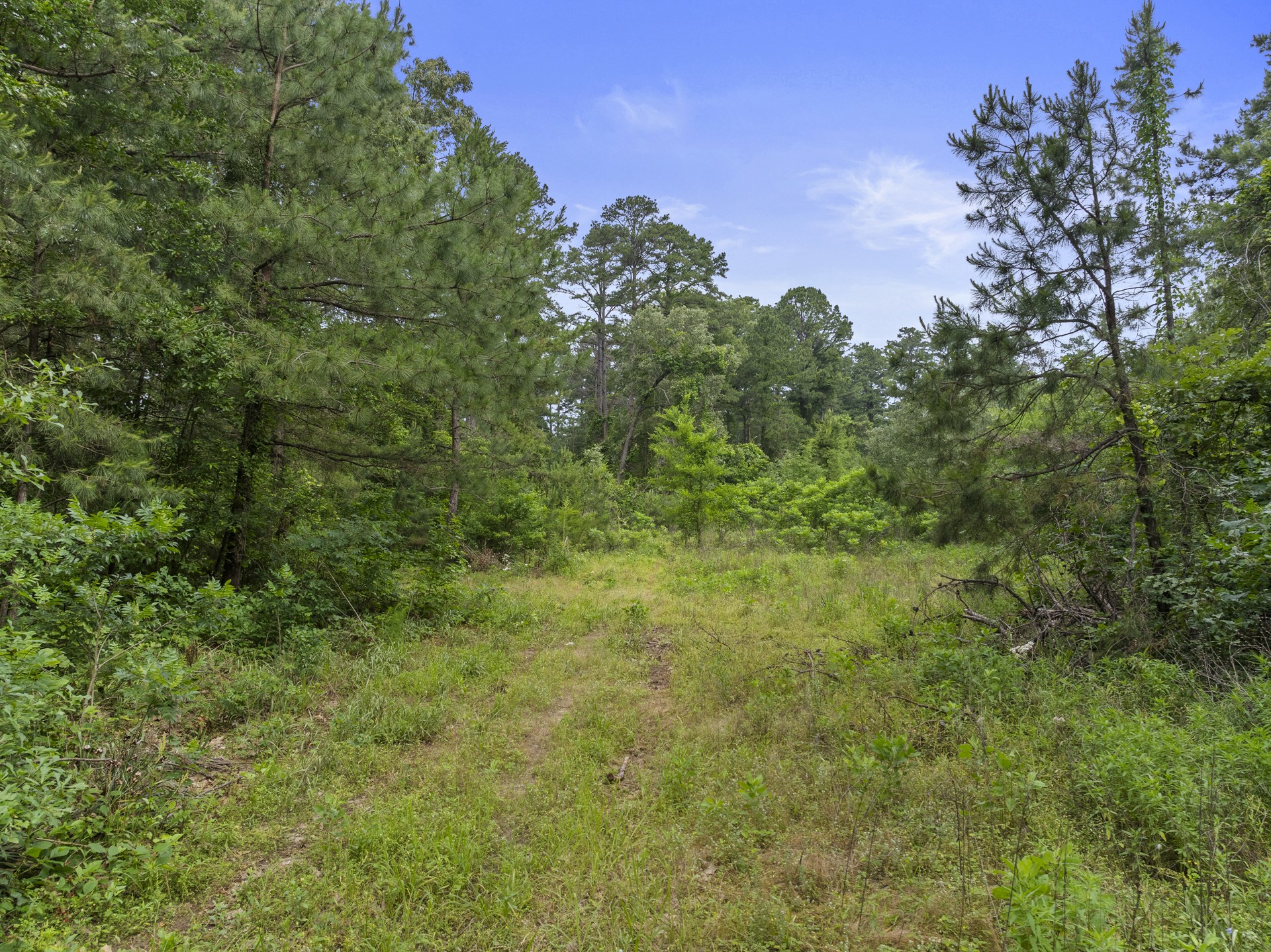 LOT R4 Big Pine Estates