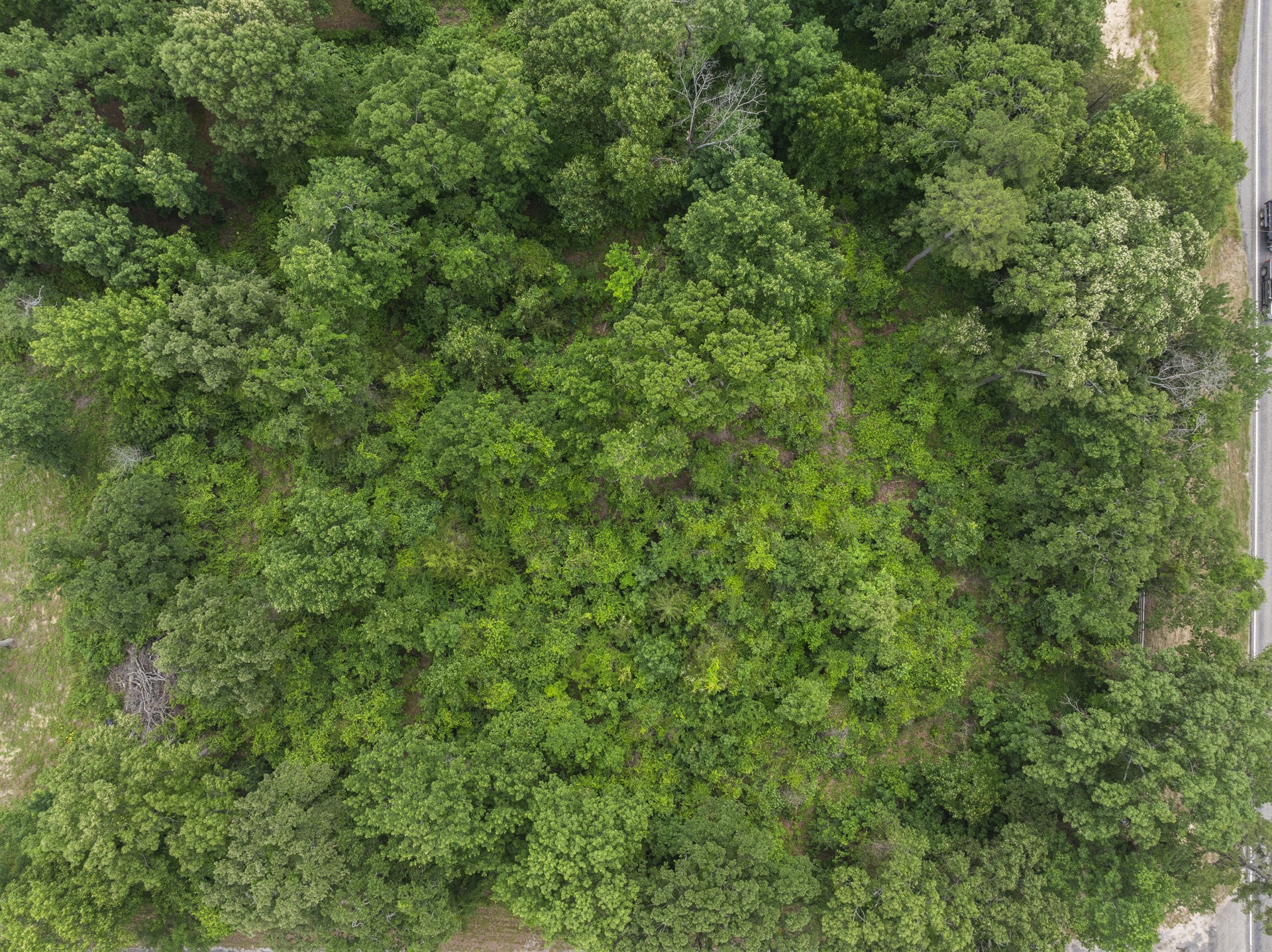 LOT R4 Big Pine Estates
