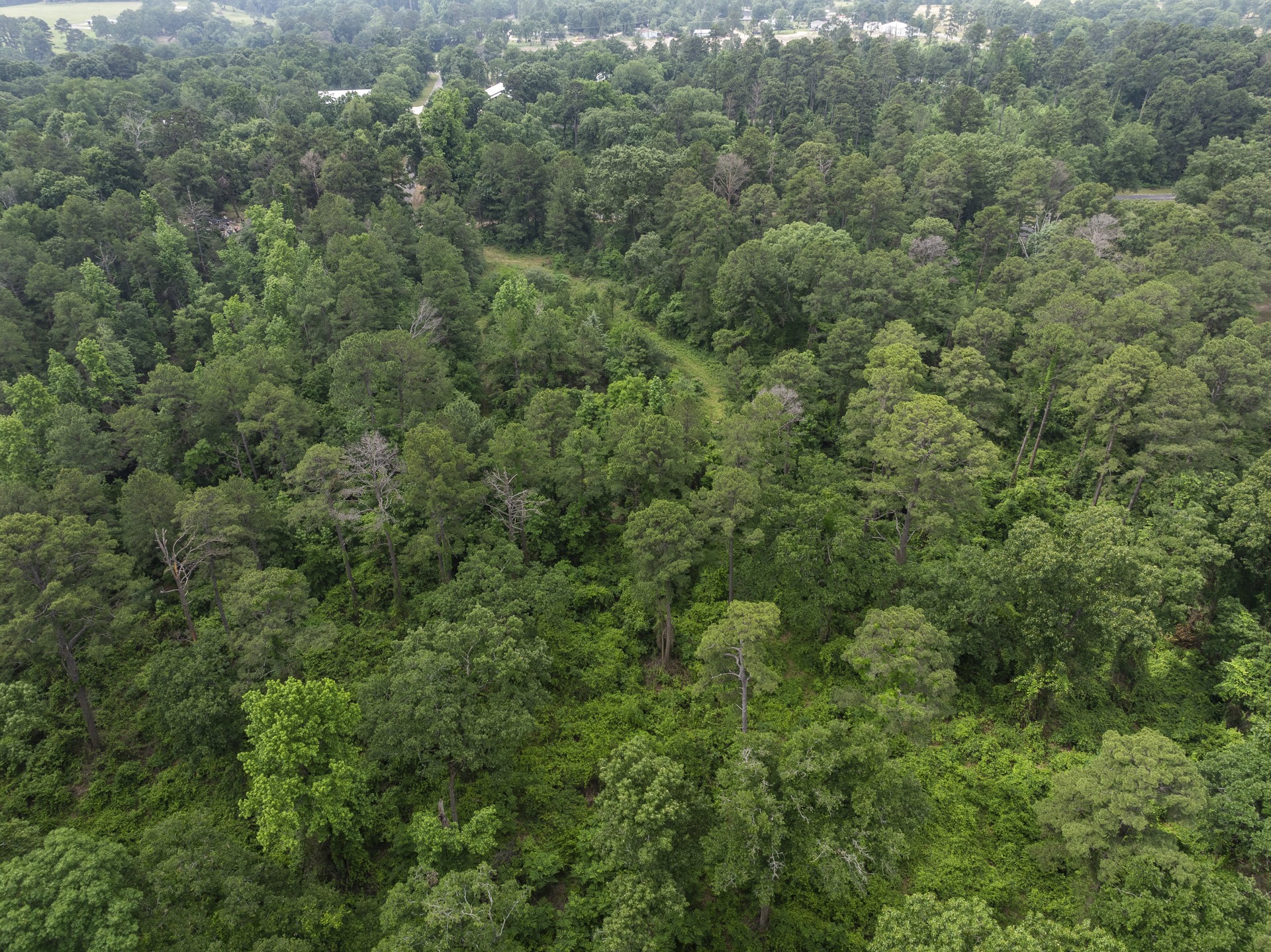 LOT R4 Big Pine Estates