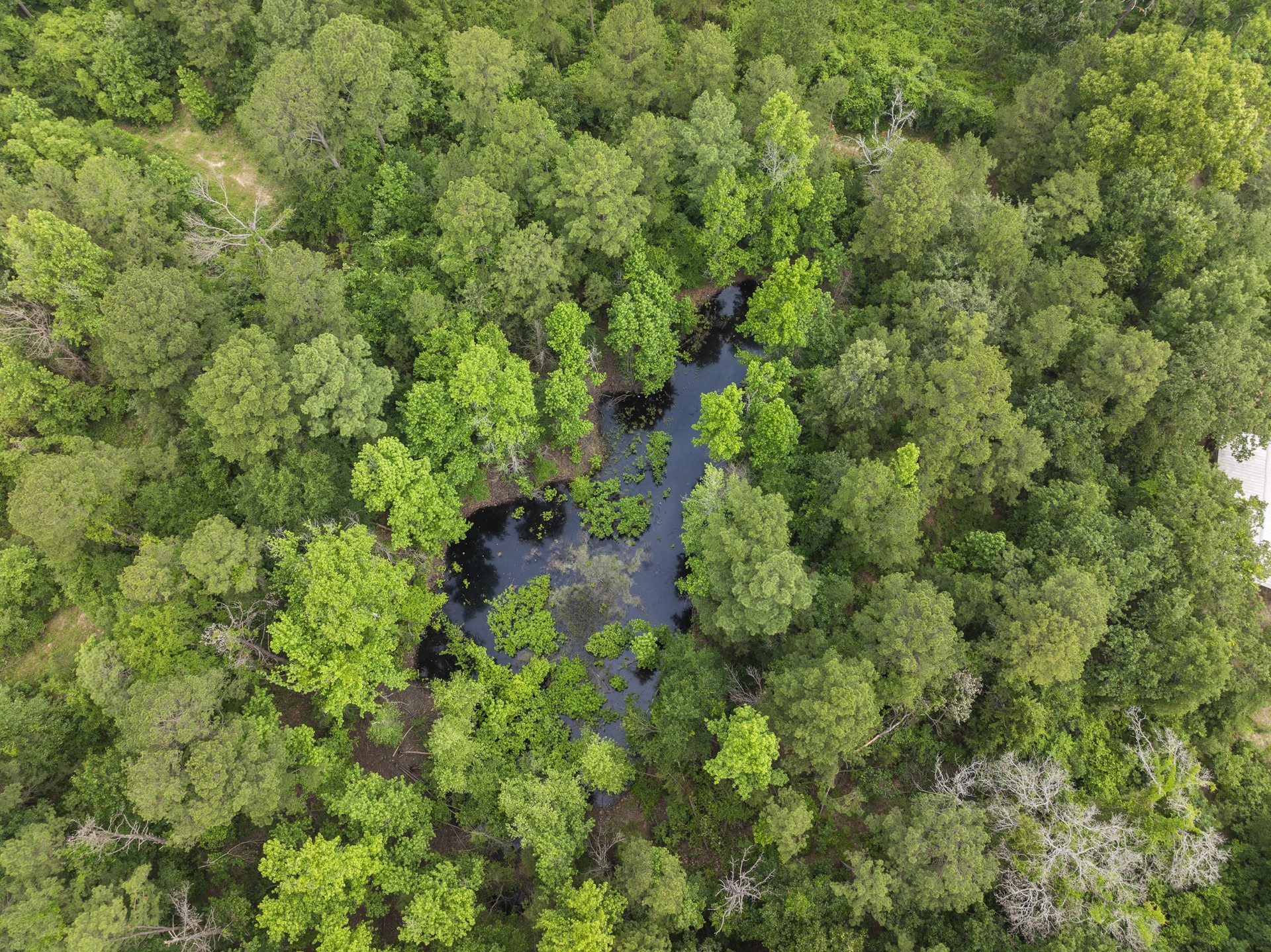 LOT R4 Big Pine Estates
