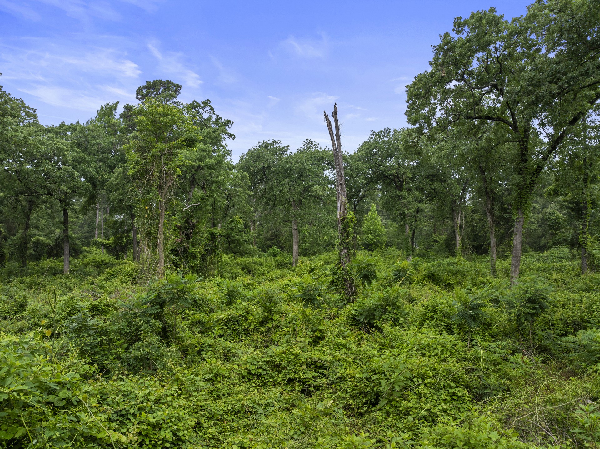 LOT R4 Big Pine Estates