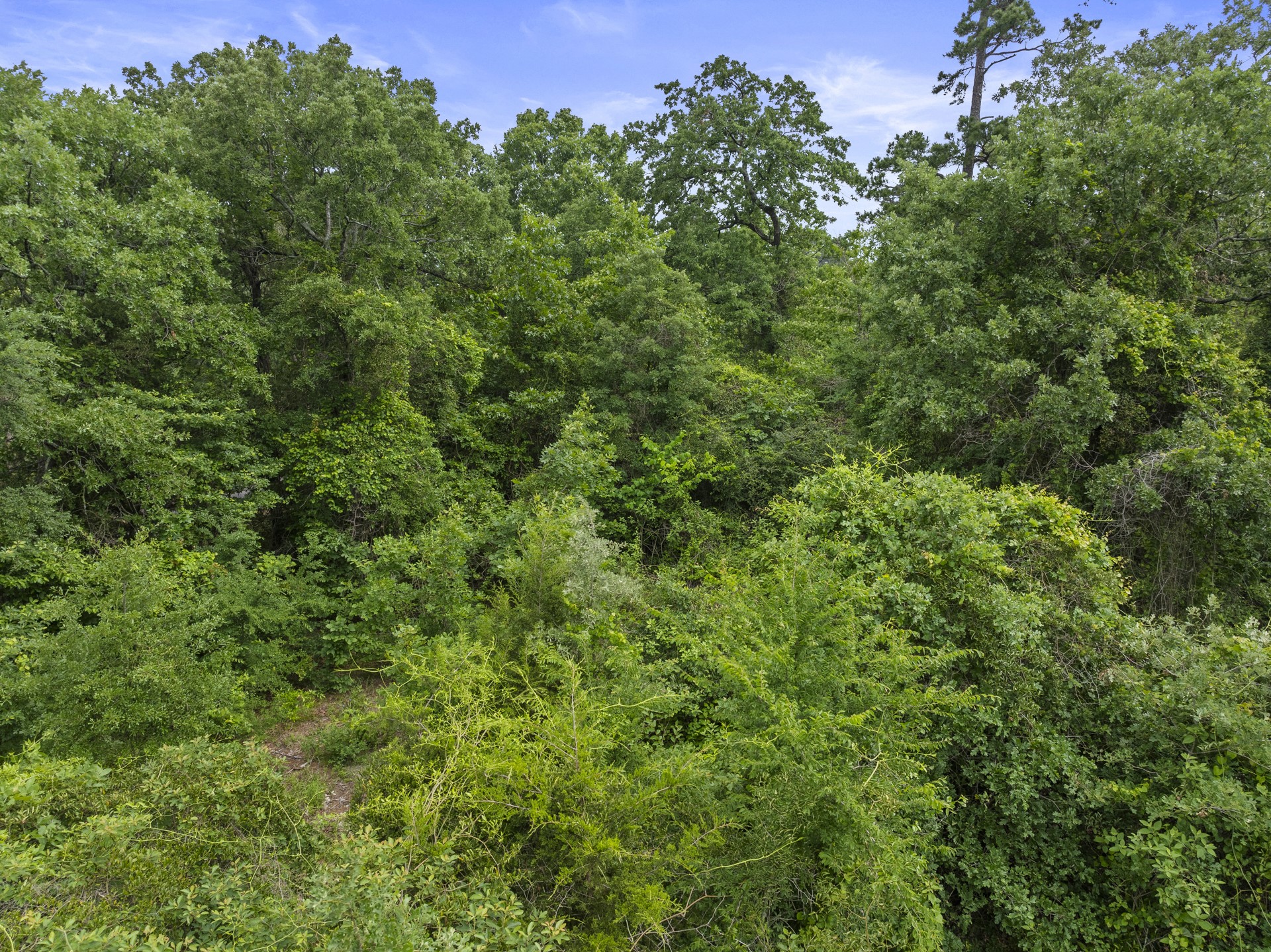 LOT R4 Big Pine Estates