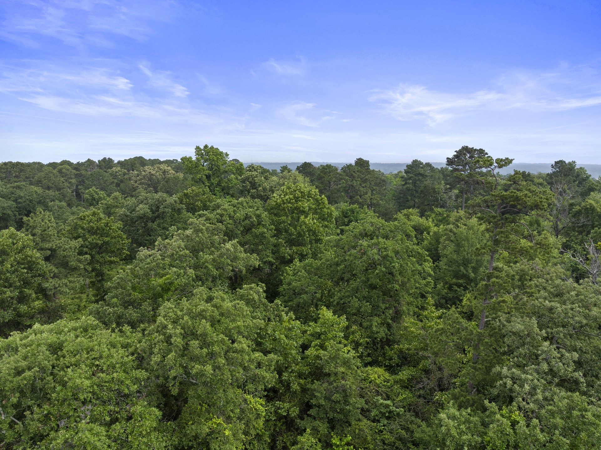 LOT R4 Big Pine Estates