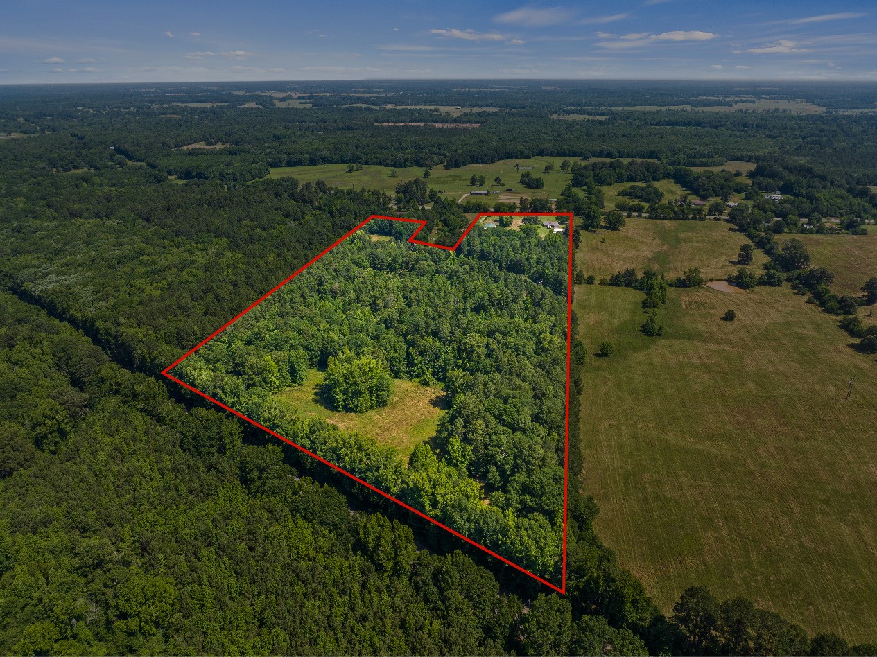 2279 W Hwy 11
