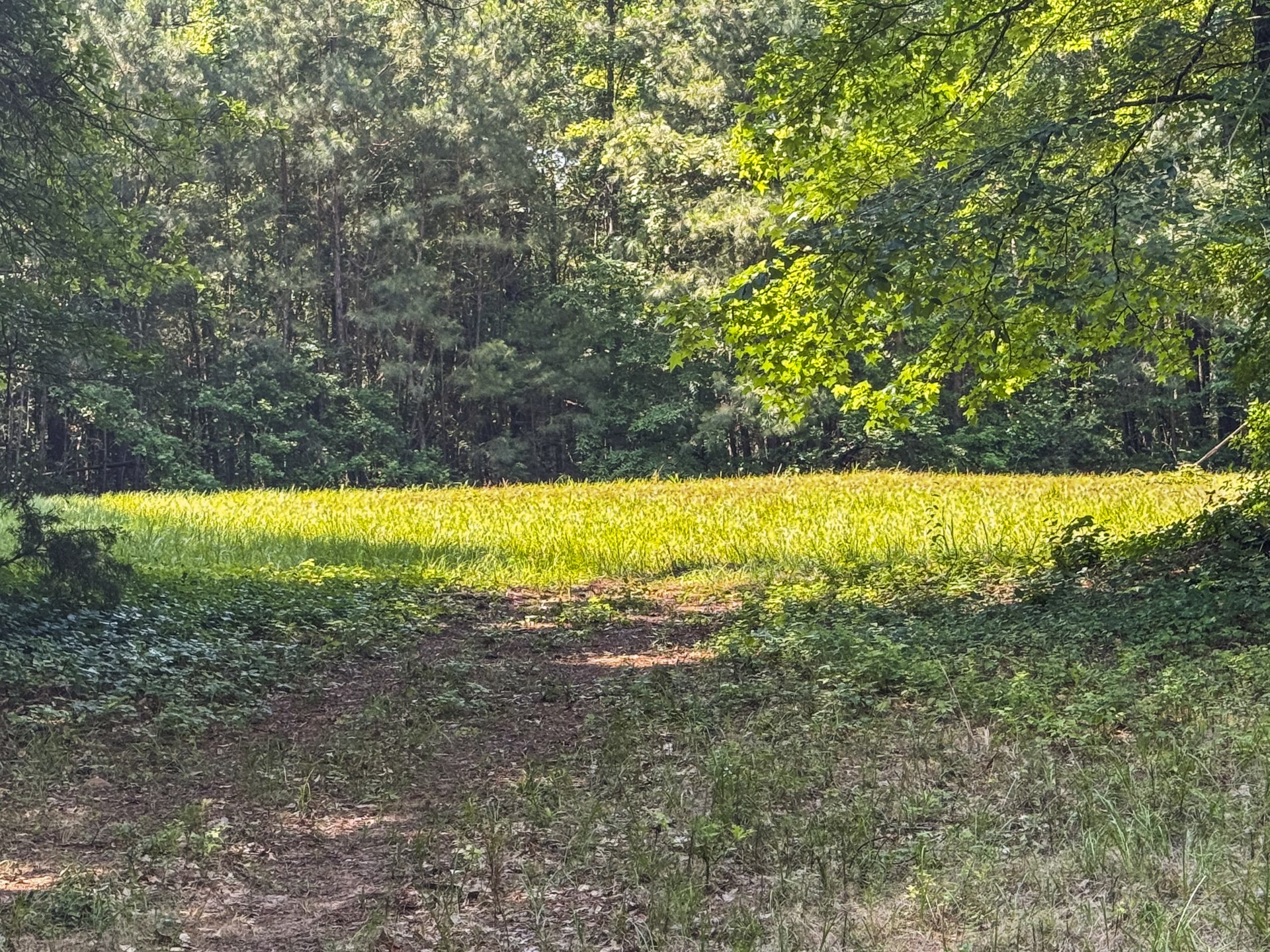 2279 W Hwy 11