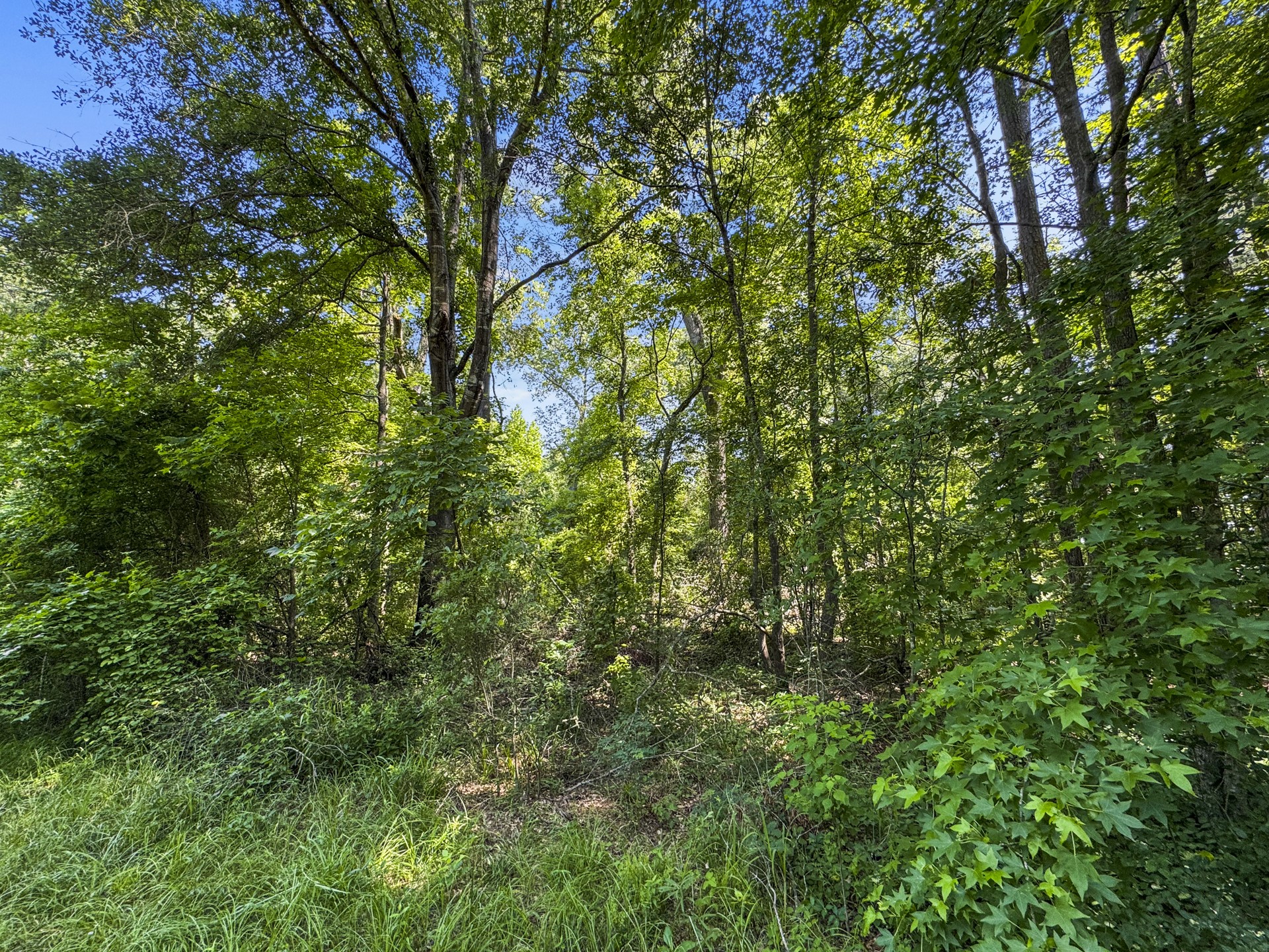 2279 W Hwy 11