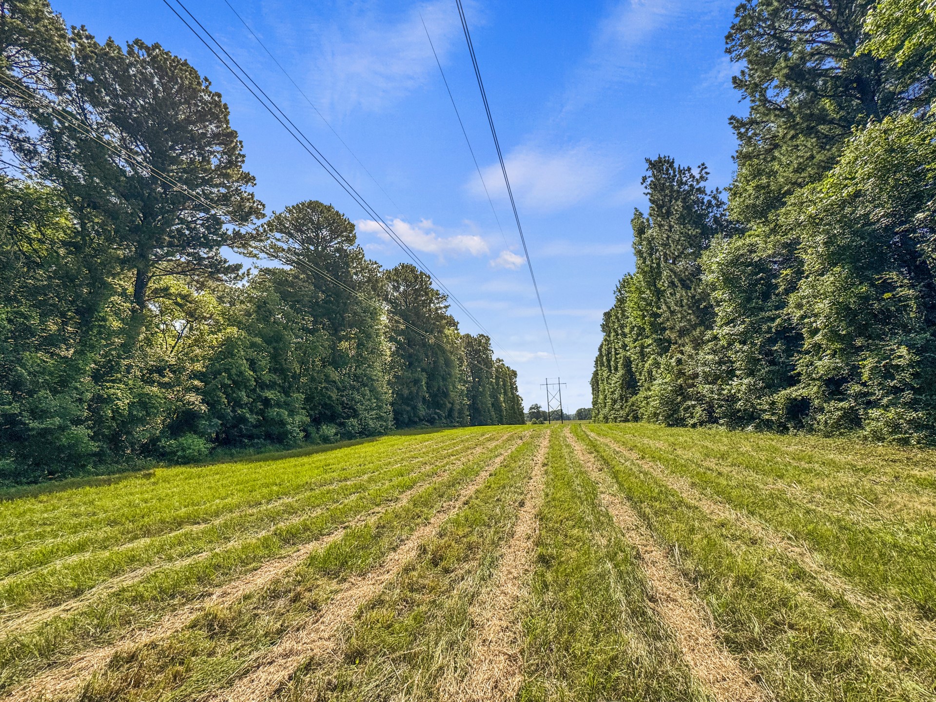 2279 W Hwy 11
