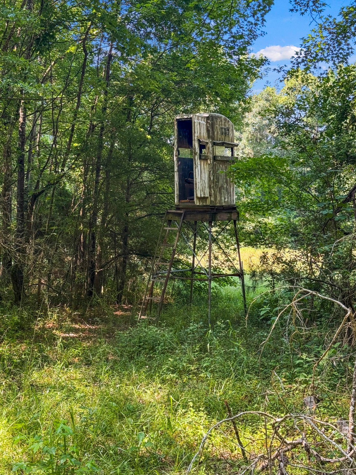 2279 W Hwy 11