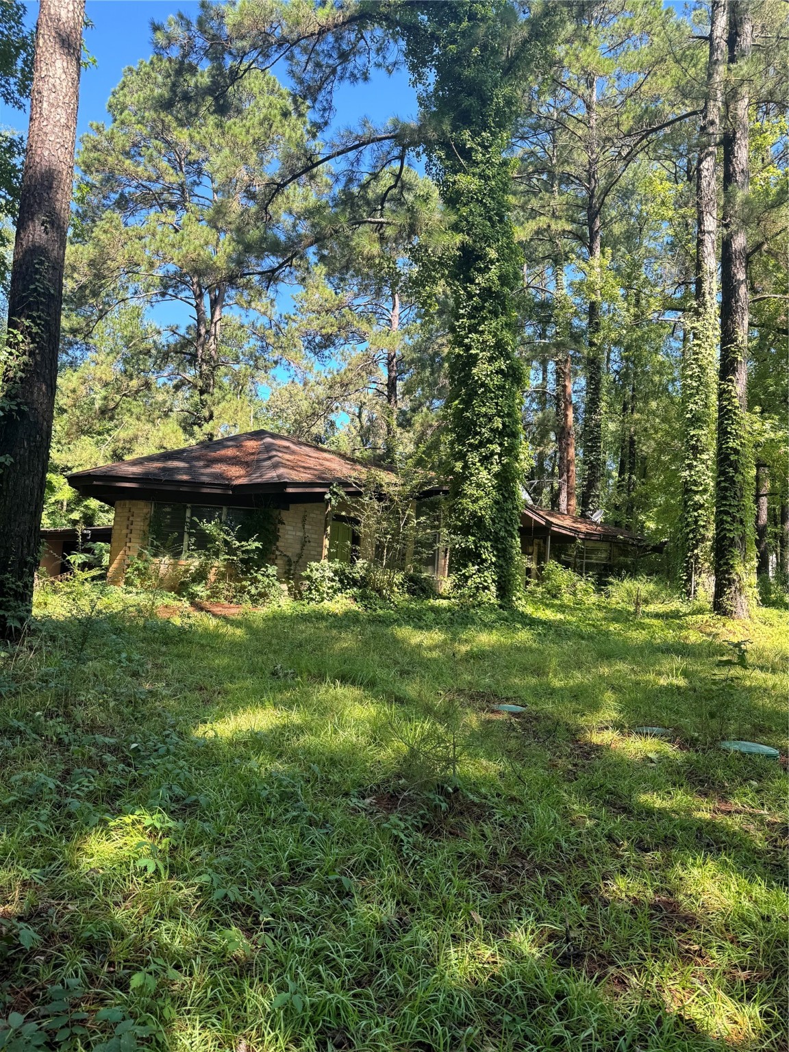 270, 290 Ma County Road 3242