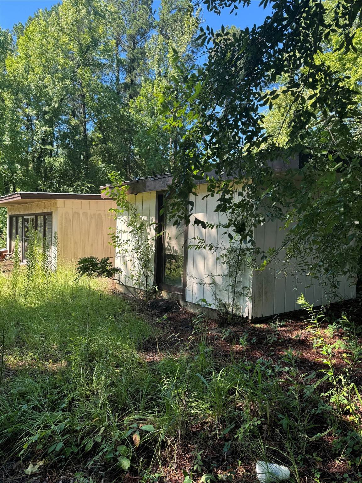 270, 290 Ma County Road 3242