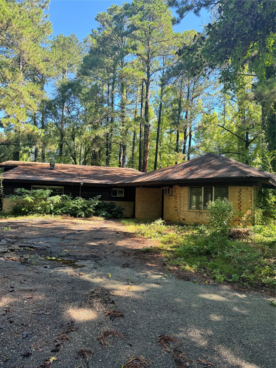 270, 290 Ma County Road 3242