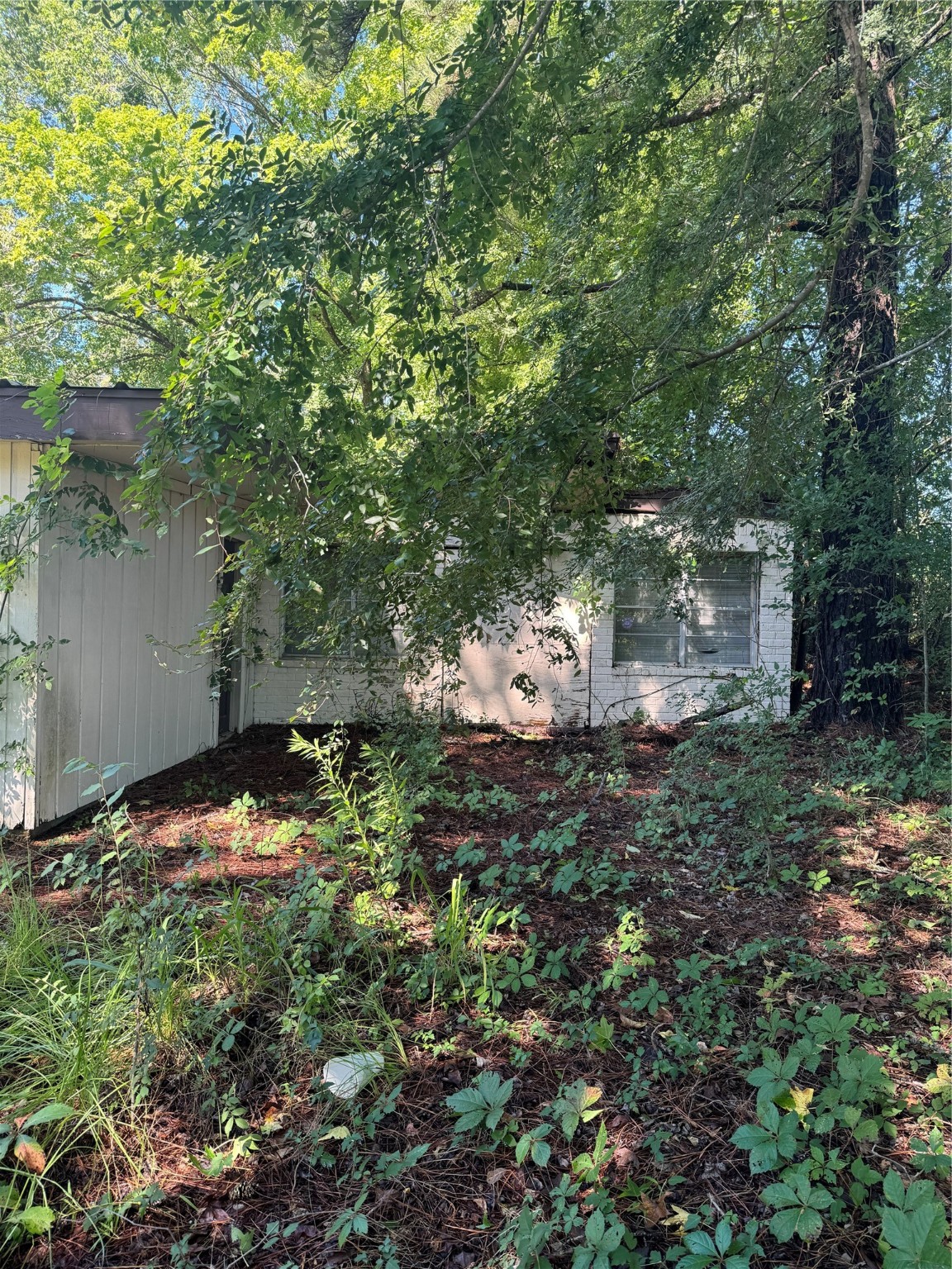 270, 290 Ma County Road 3242