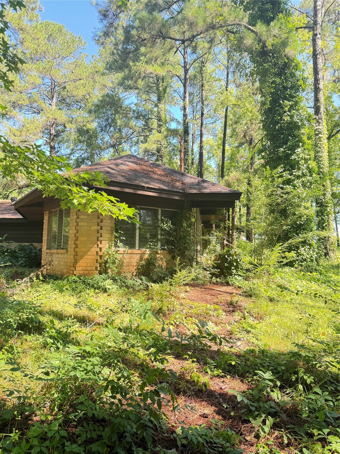 270, 290 Ma County Road 3242