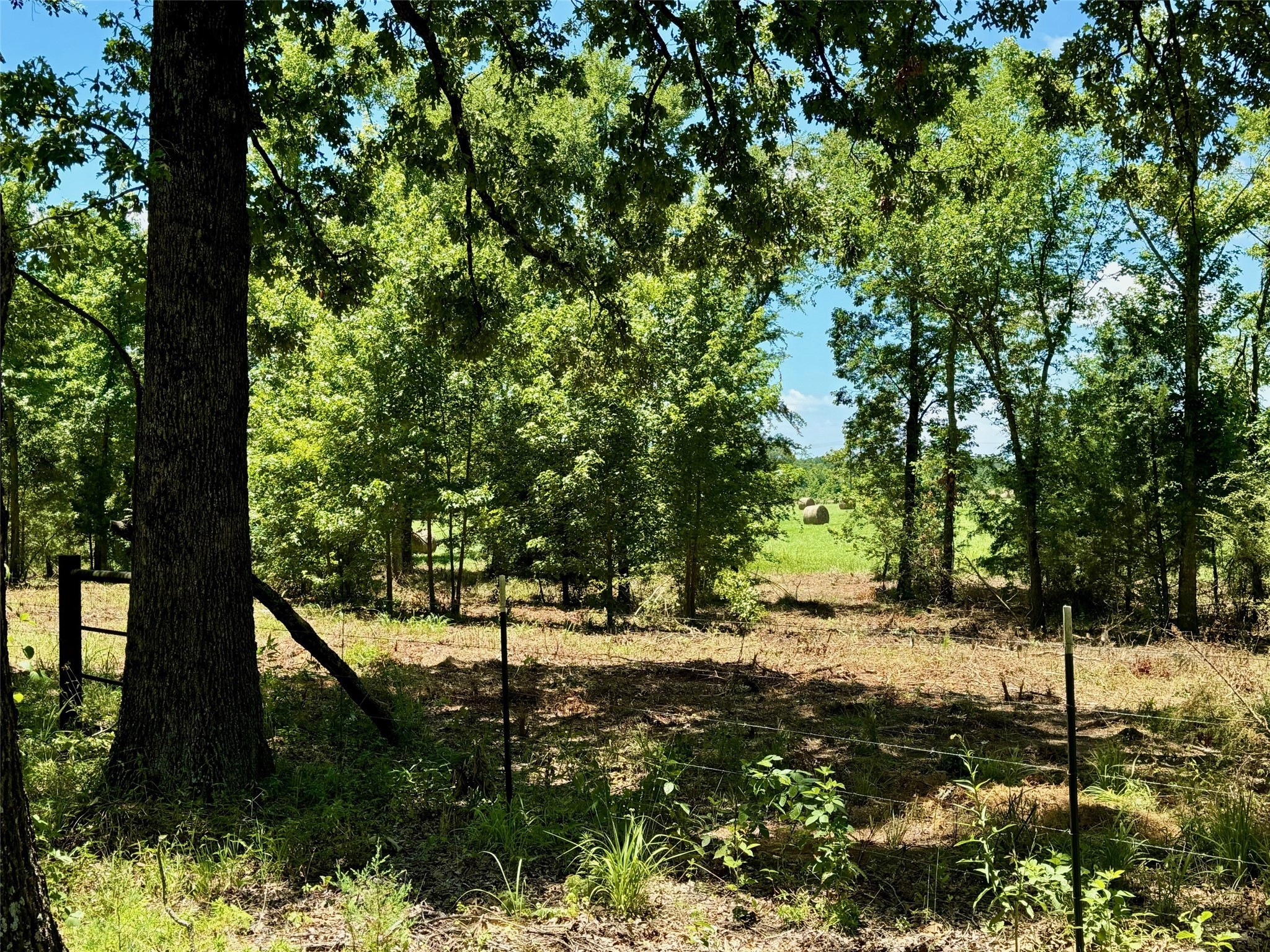 TBD Hwy 49