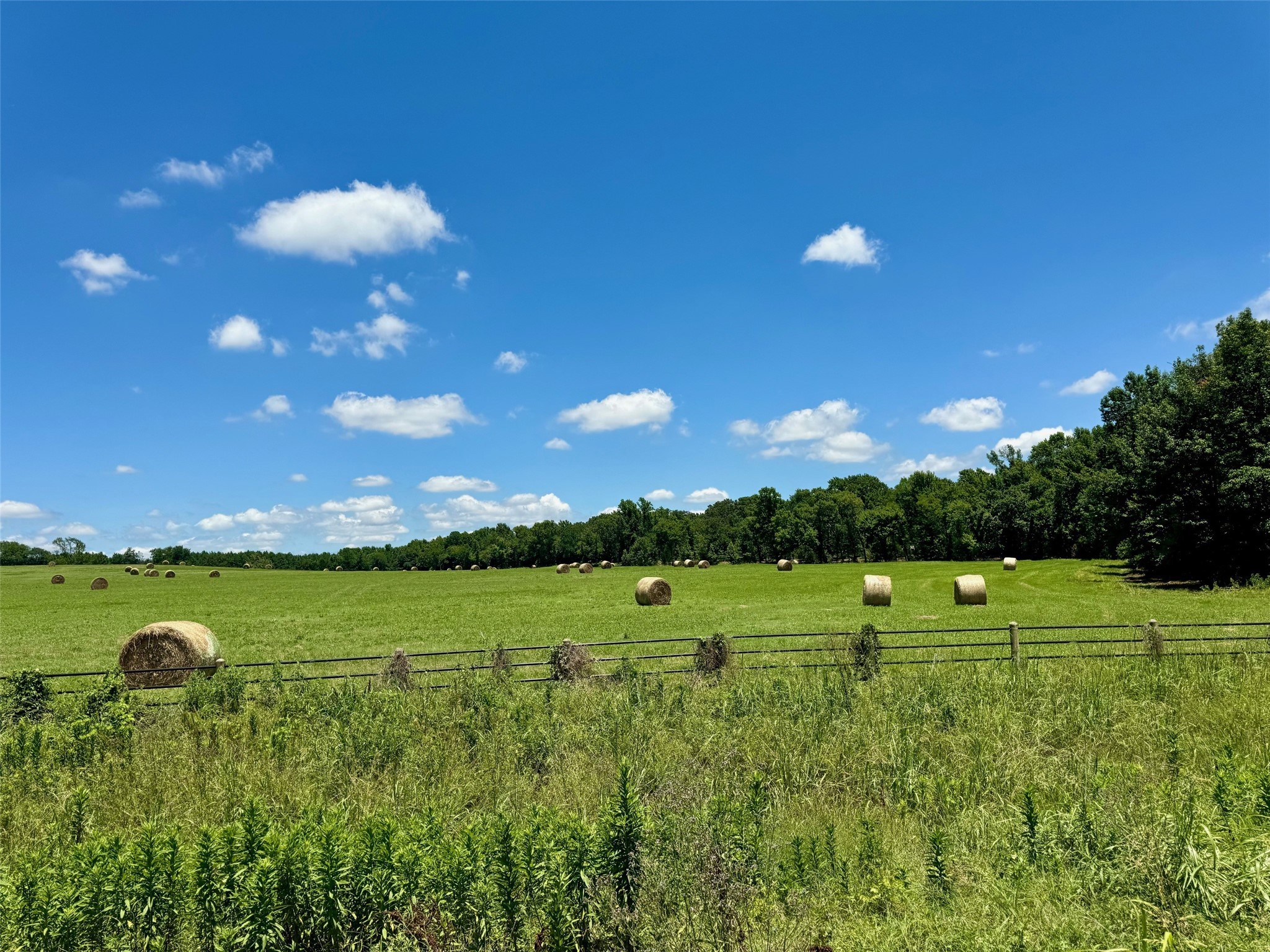 TBD Hwy 49