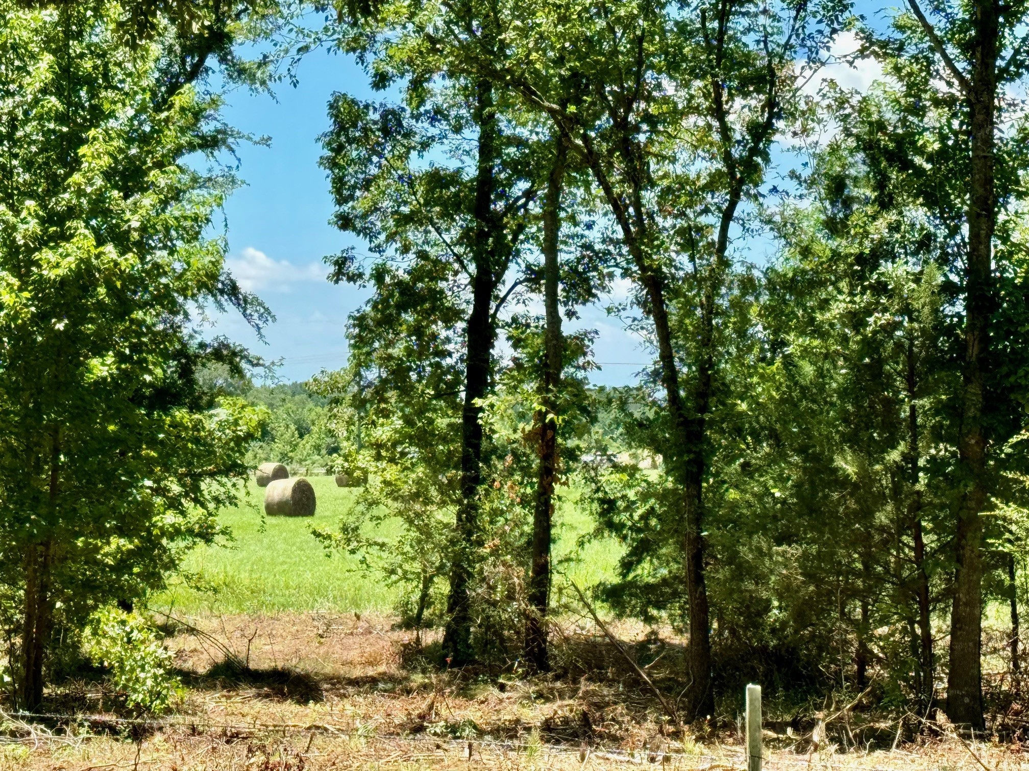 TBD Hwy 49