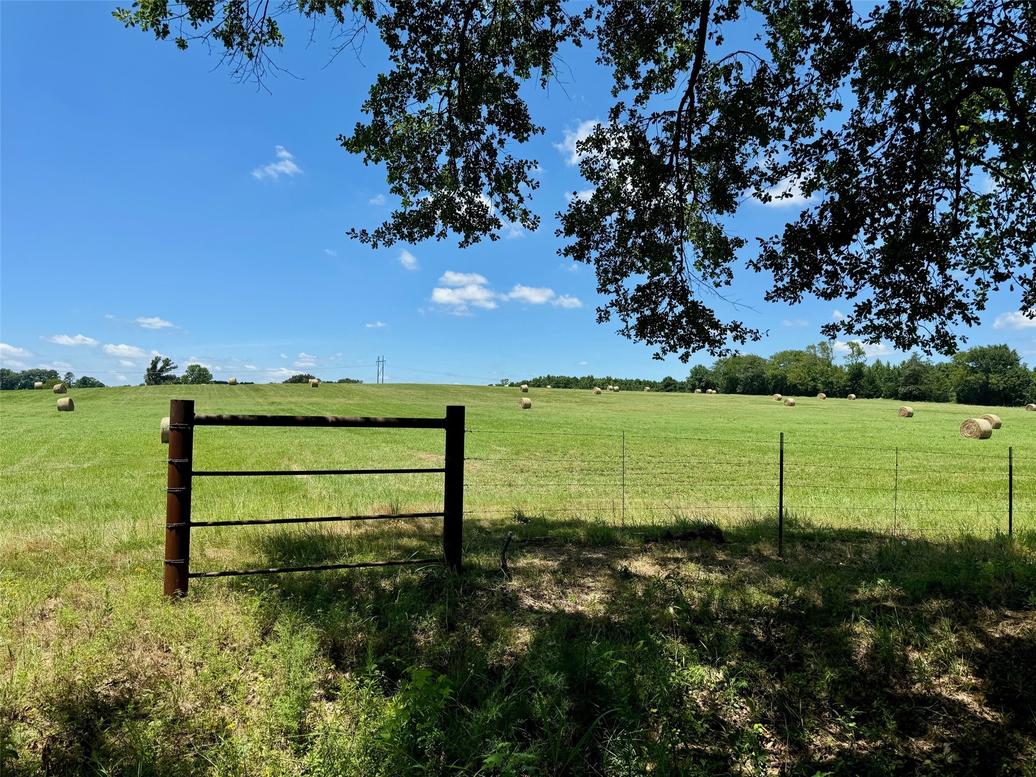 TBD Hwy 49