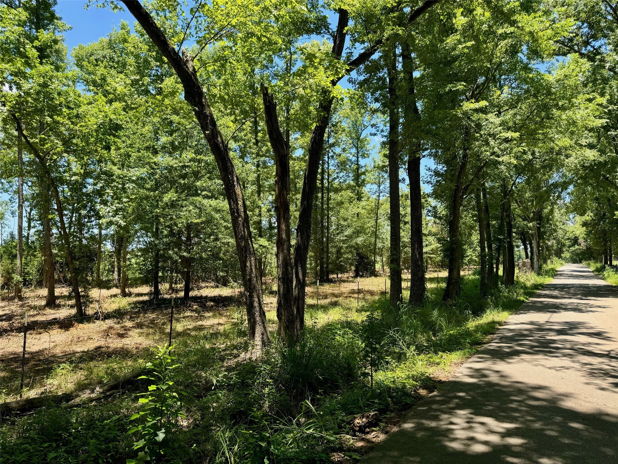 TBD Hwy 49