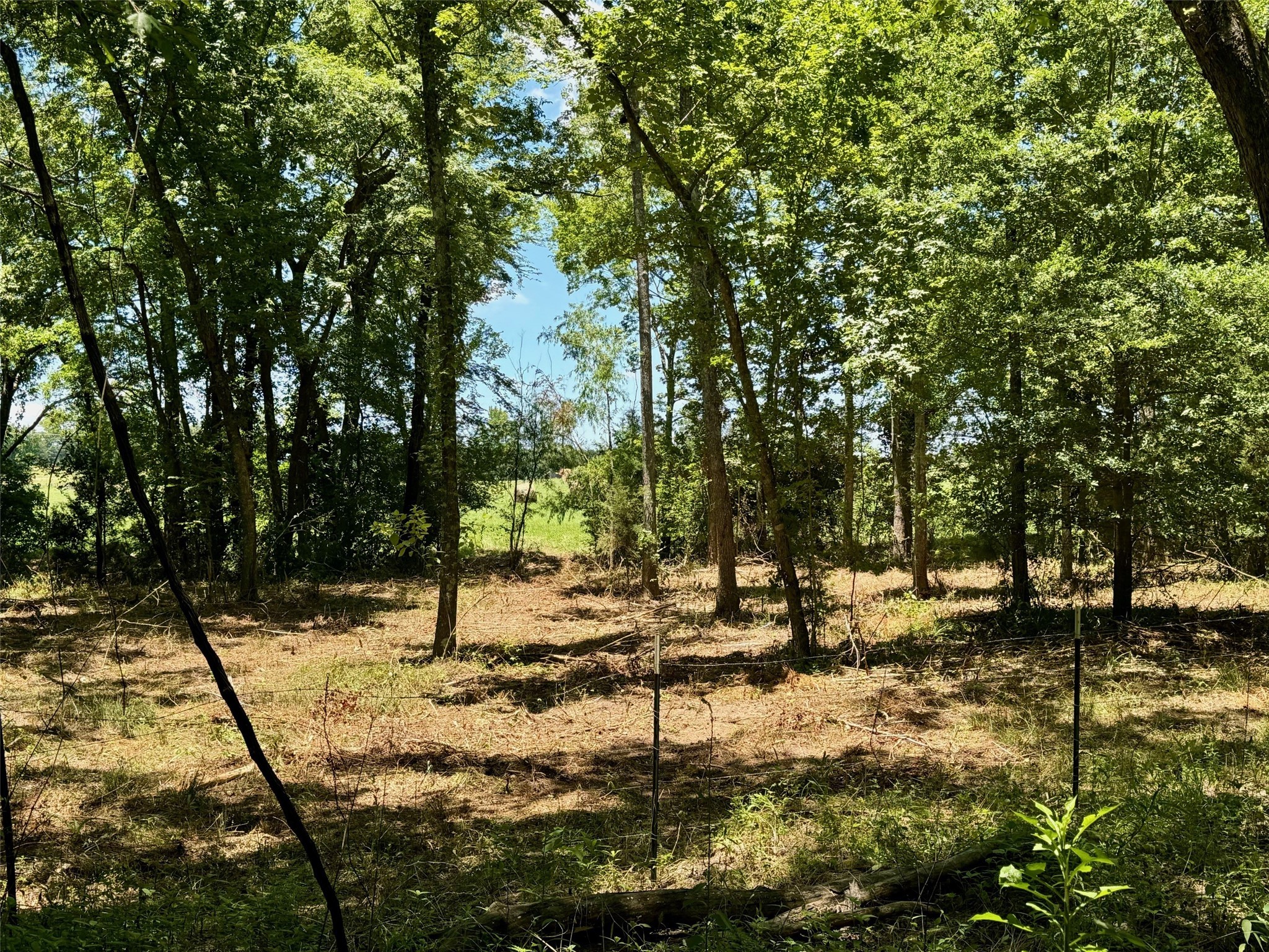 TBD County Road 4230