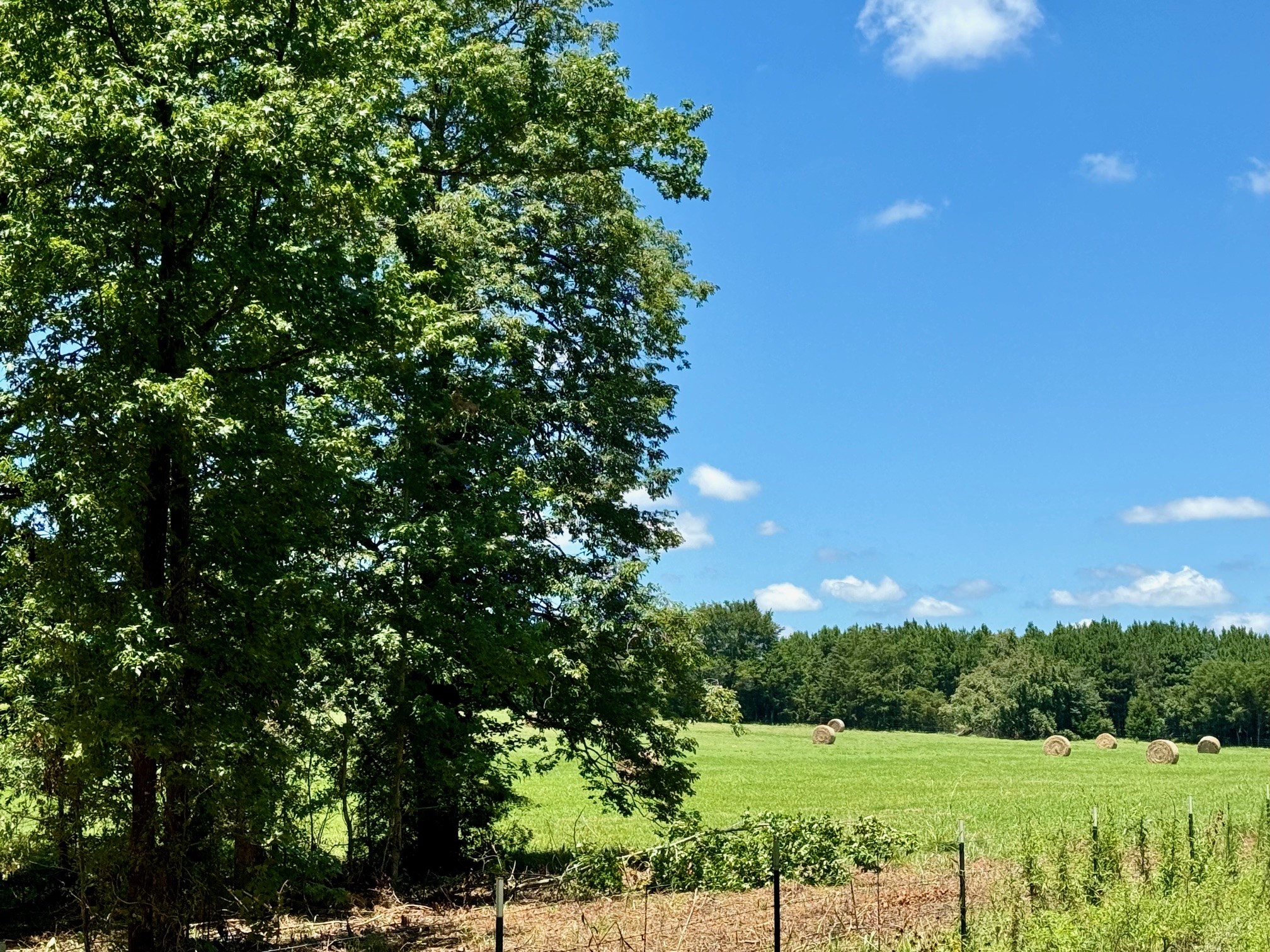 TBD County Road 4230