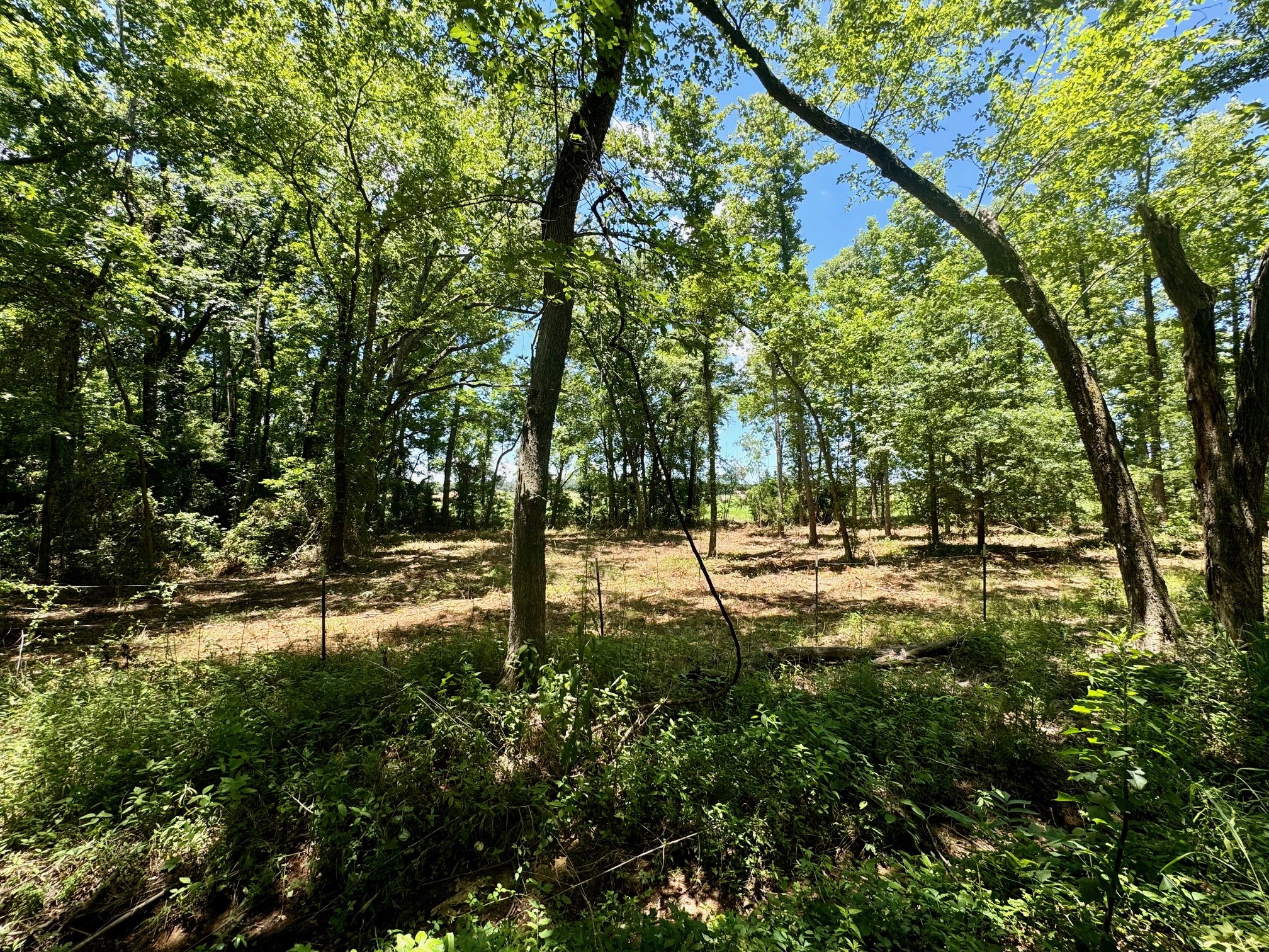 TBD County Road 4230