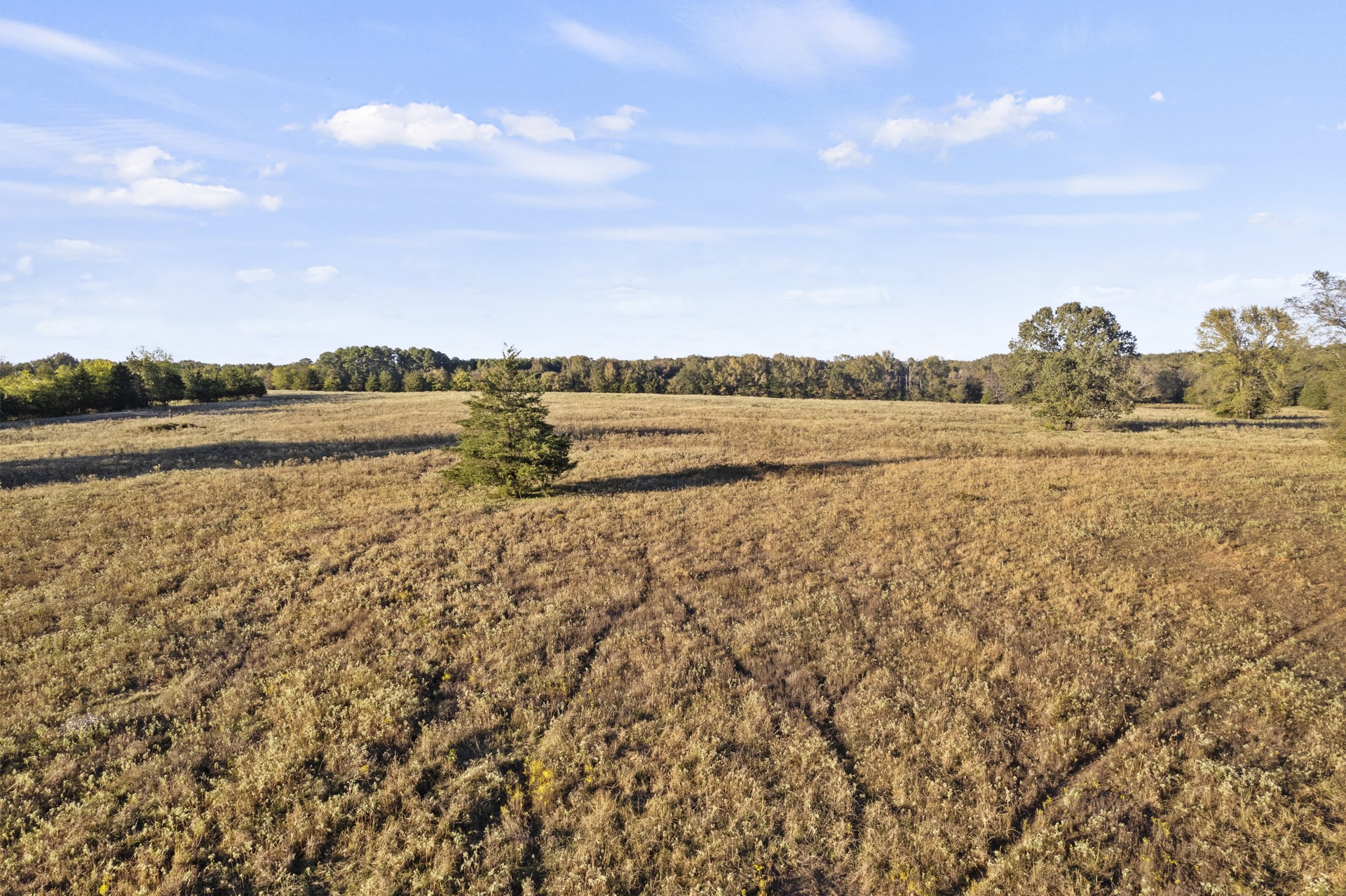 TR 3 County Road 4260