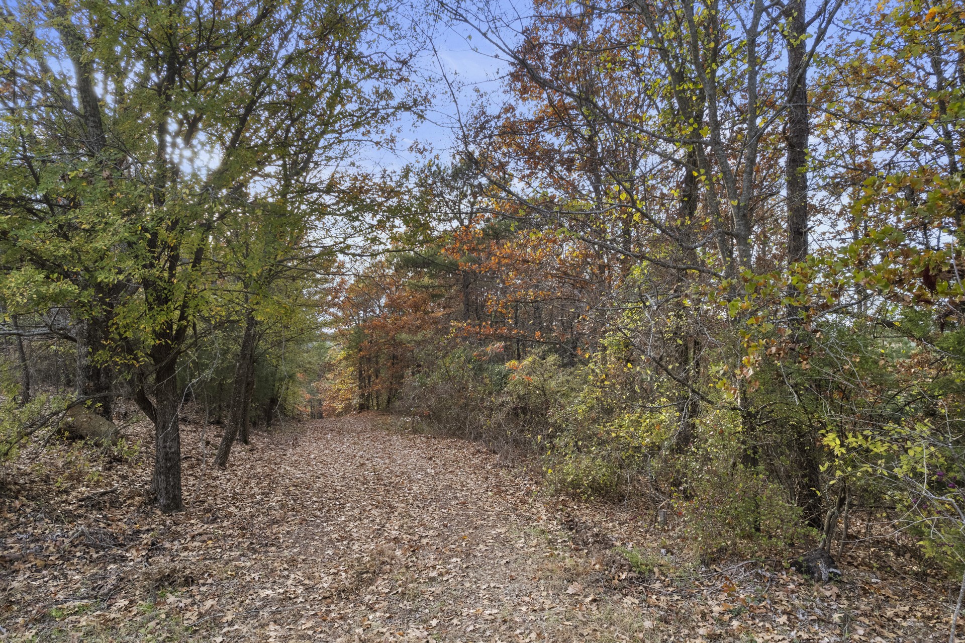 3514 Poppy Road