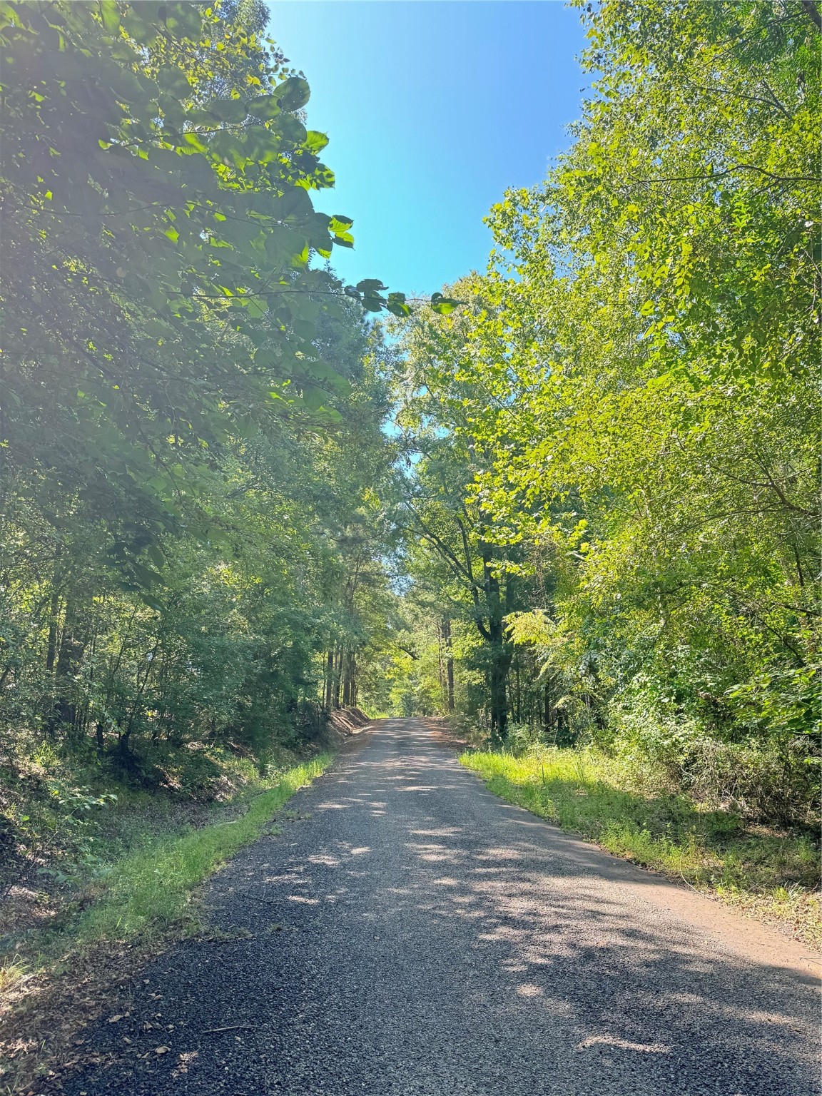 75 County Road 4411