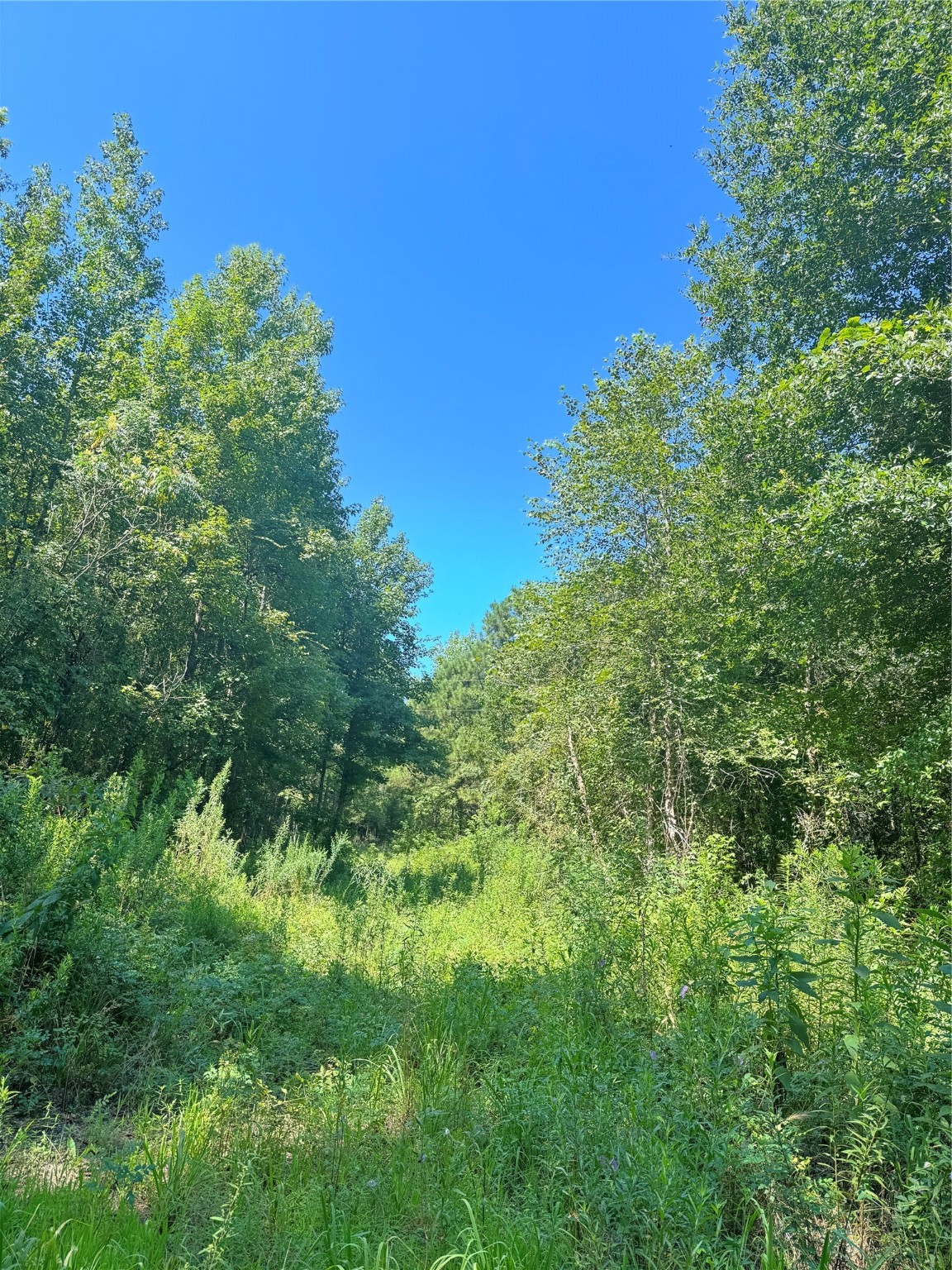 75 County Road 4411