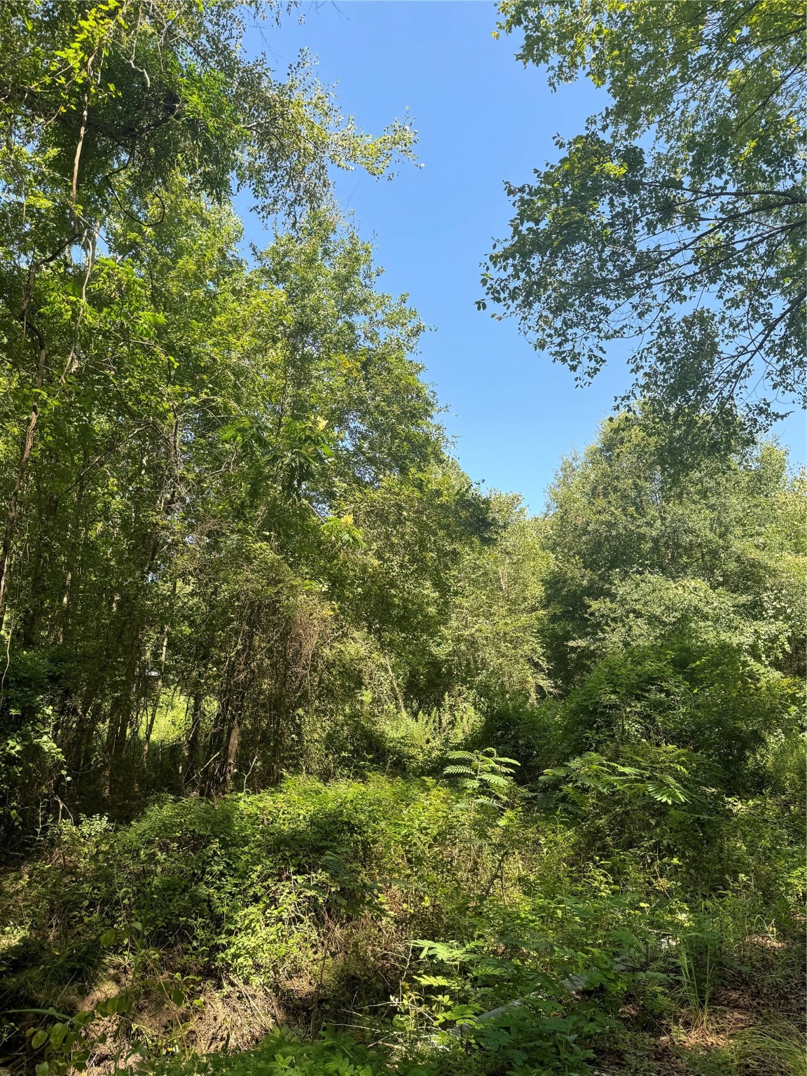 75 County Road 4411