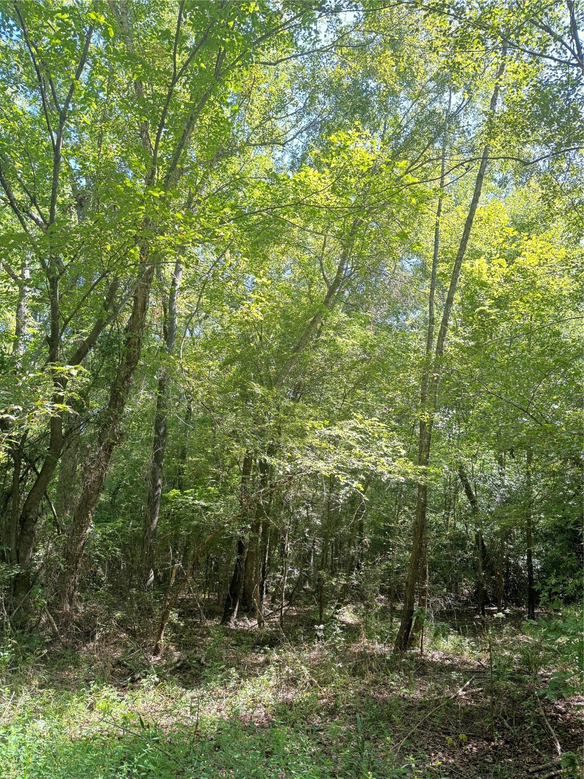 75 County Road 4411