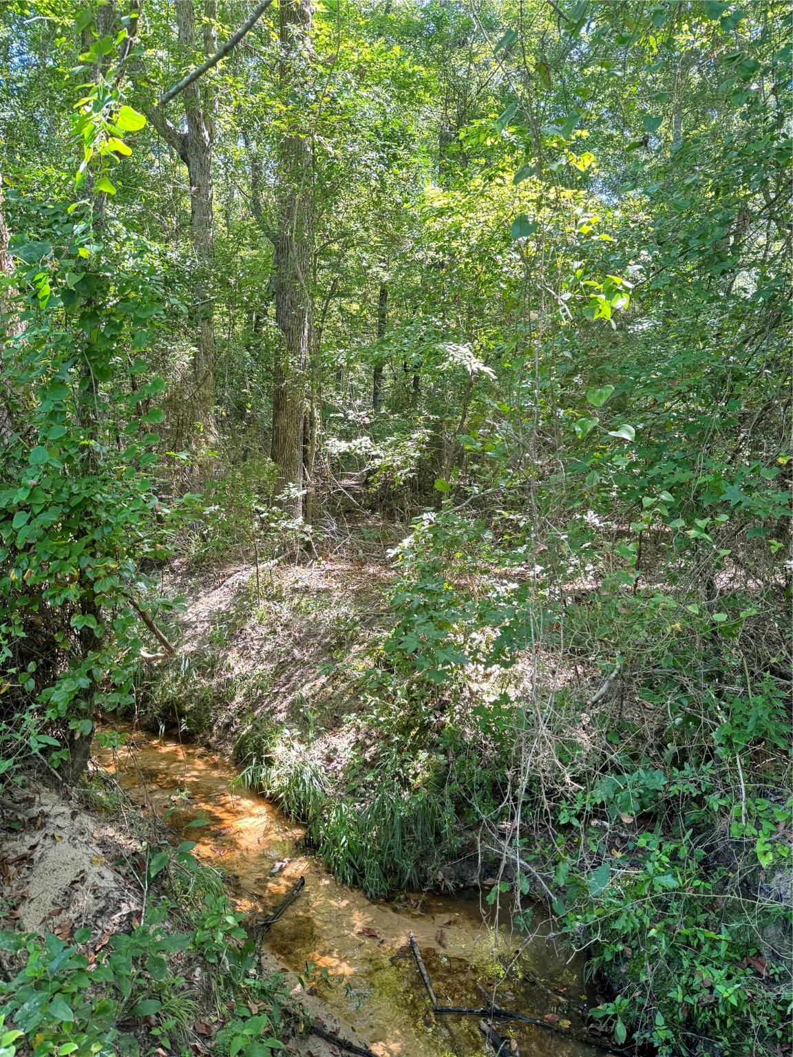 75 County Road 4411