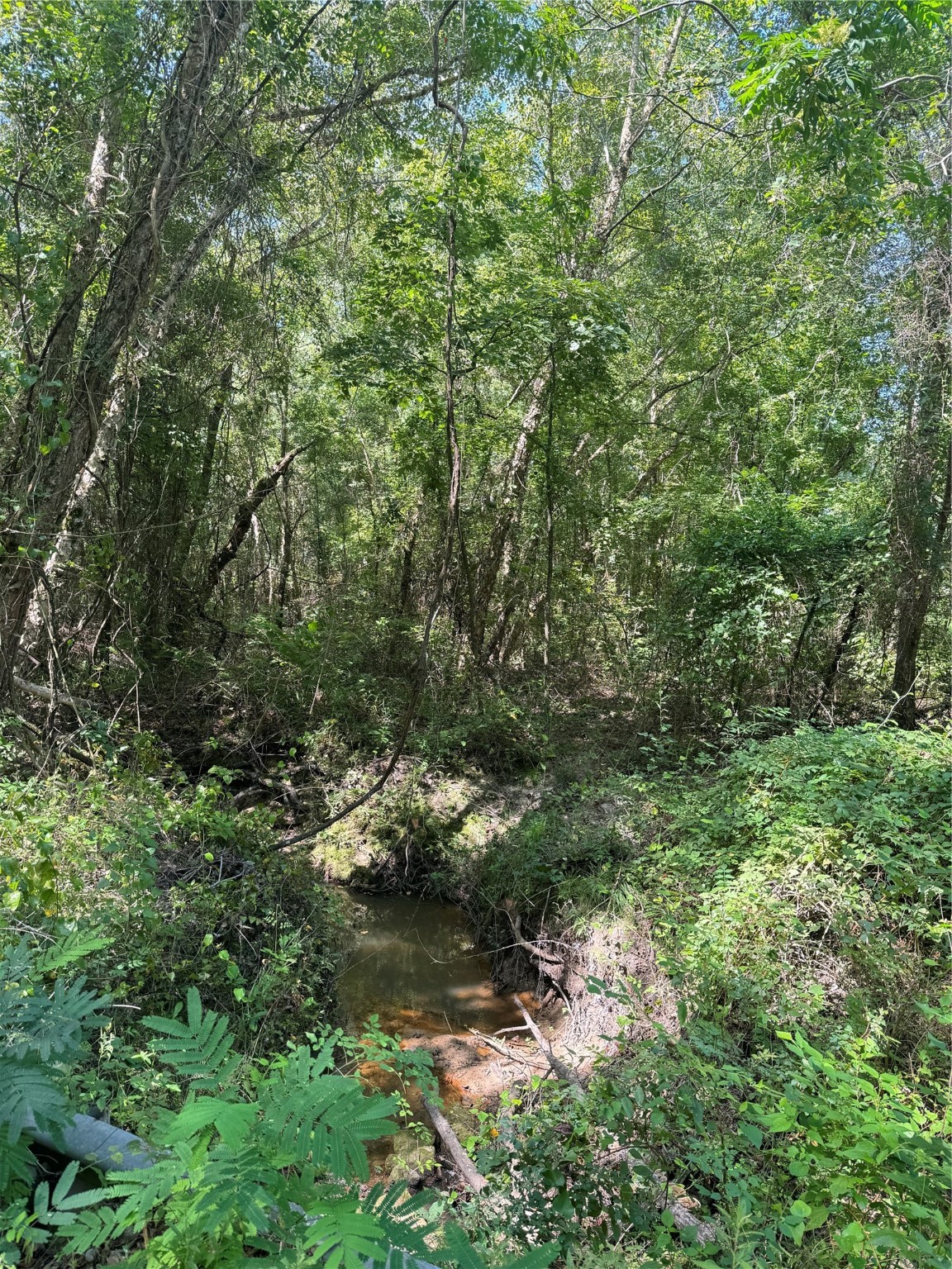 75 County Road 4411