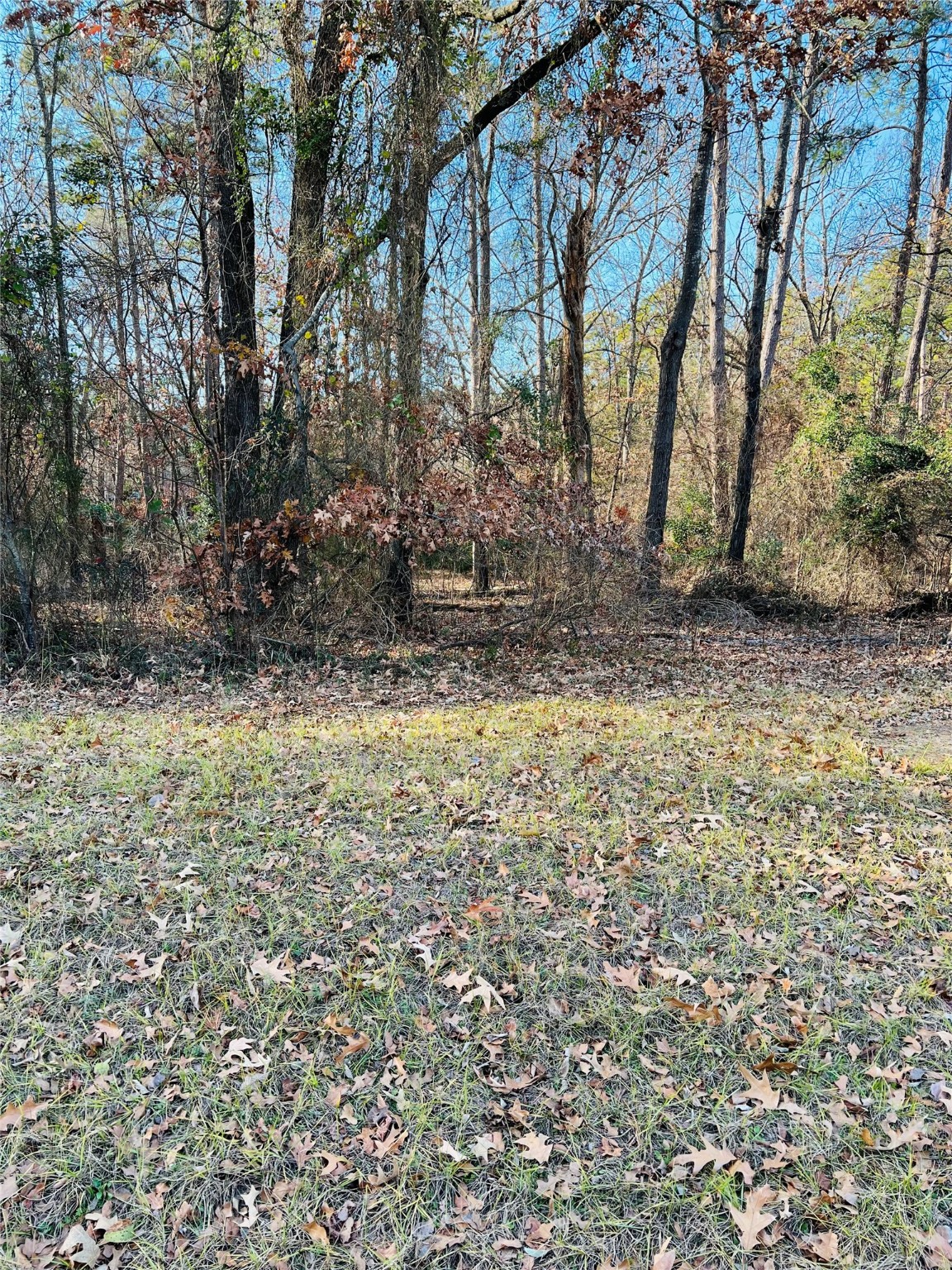 Lot 31 Winding Ln