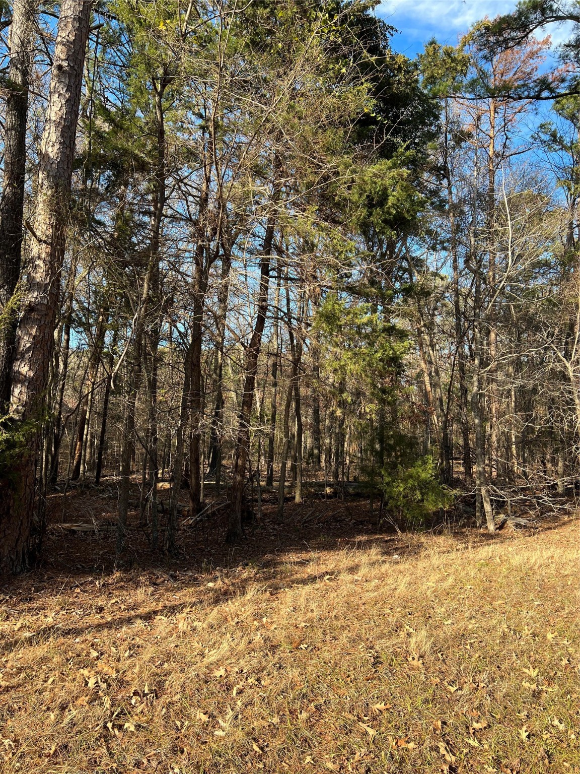 Lot 32 & 33 Winding Lane