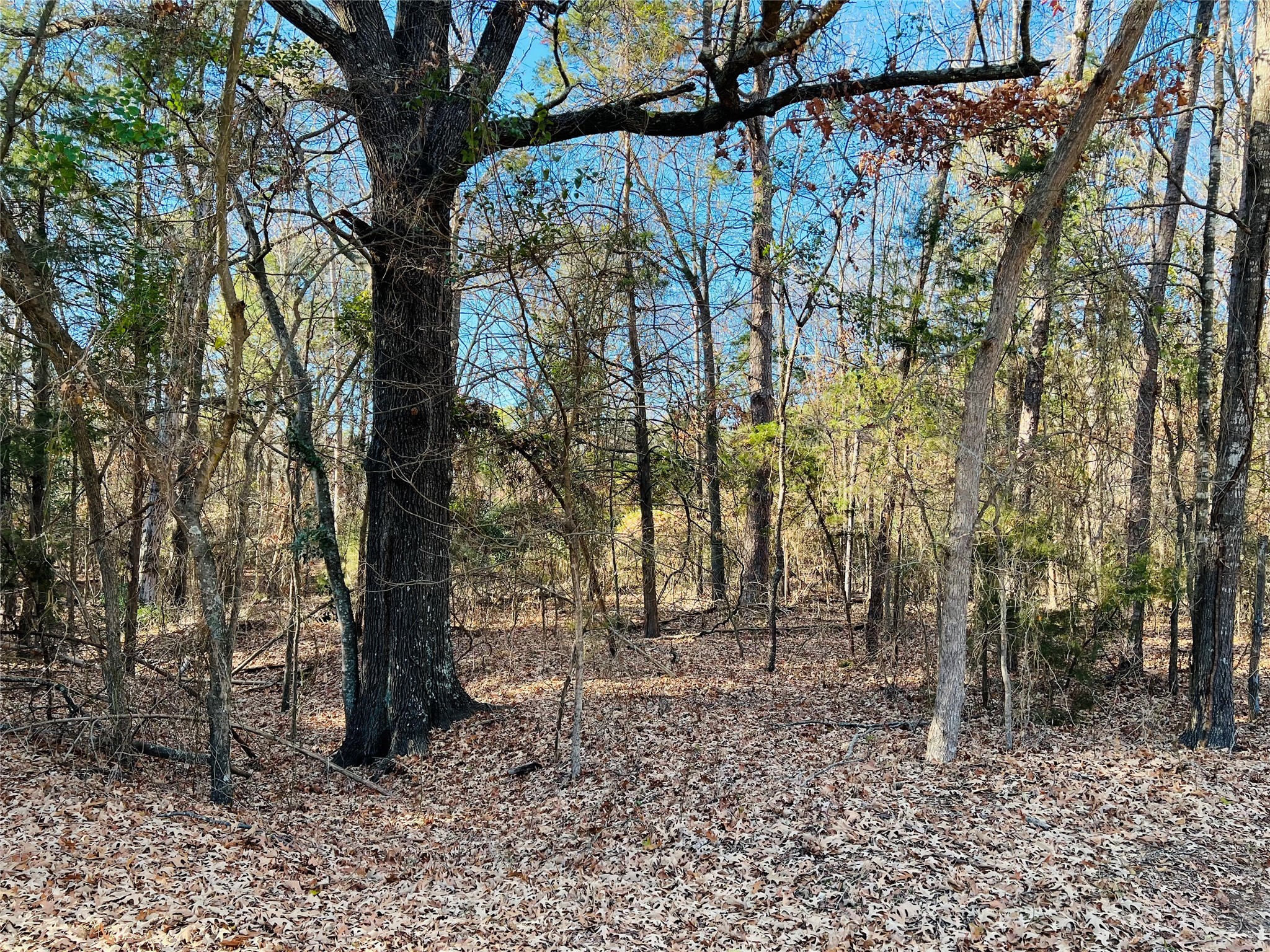 Lot 32 & 33 Winding Lane